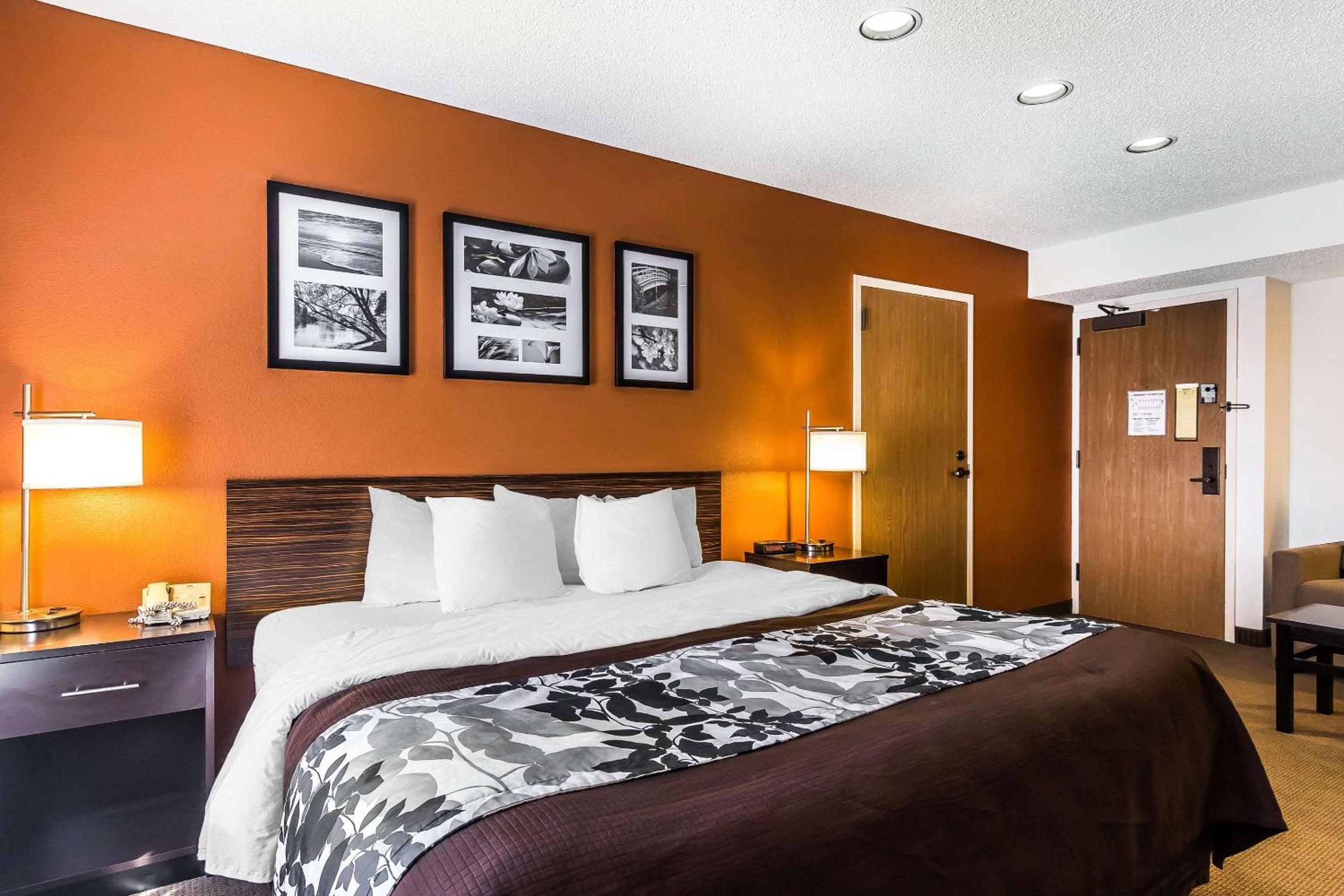 King Suite - Non-Smoking - Photo 3