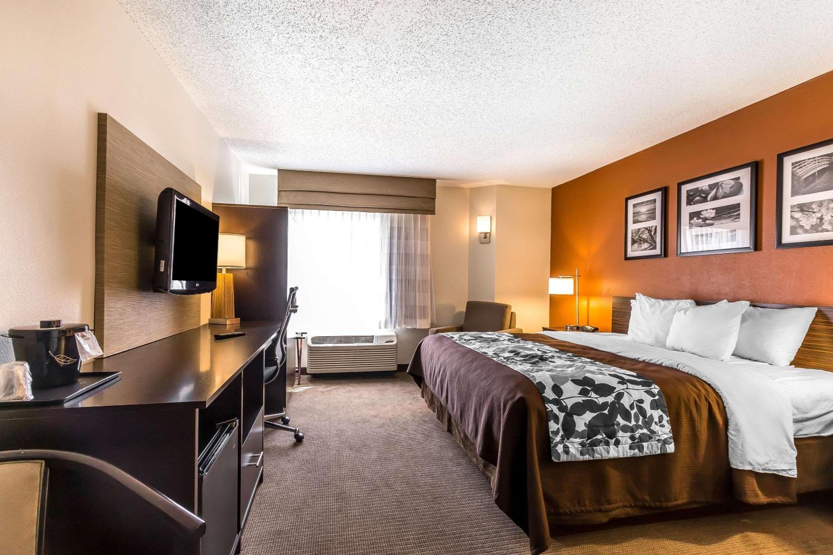 King Room - Non-Smoking - Photo 5