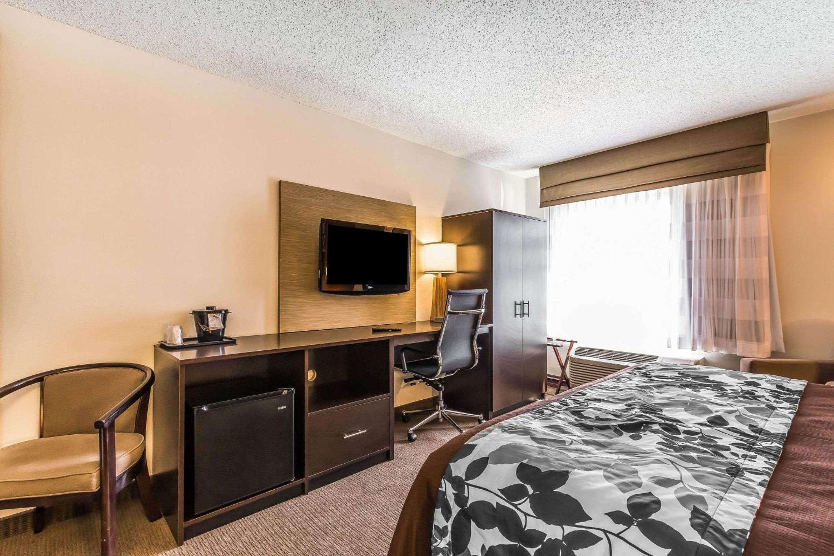 King Room - Non-Smoking - Photo 4