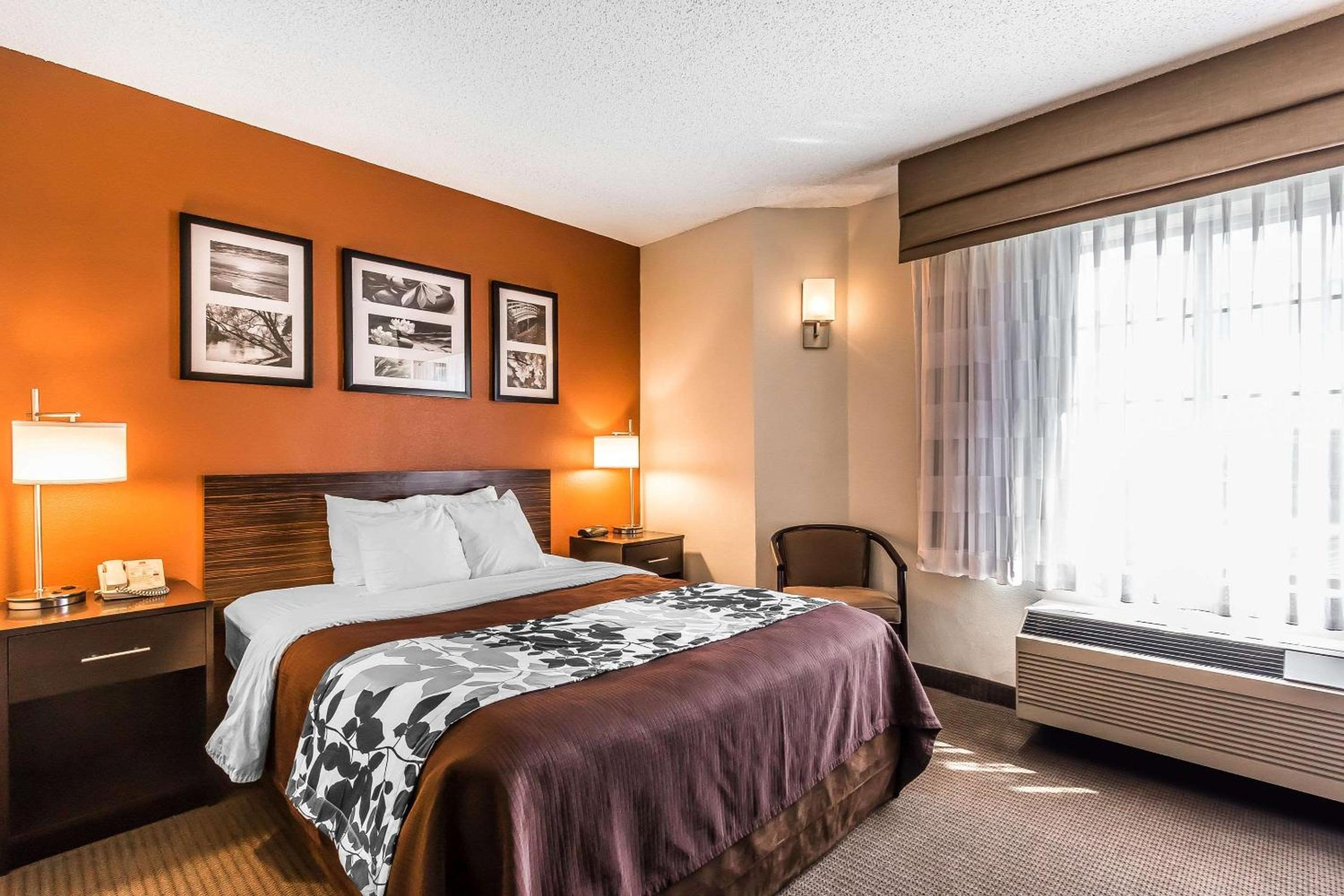 Queen Room - Accessible/Non-Smoking - Photo 5