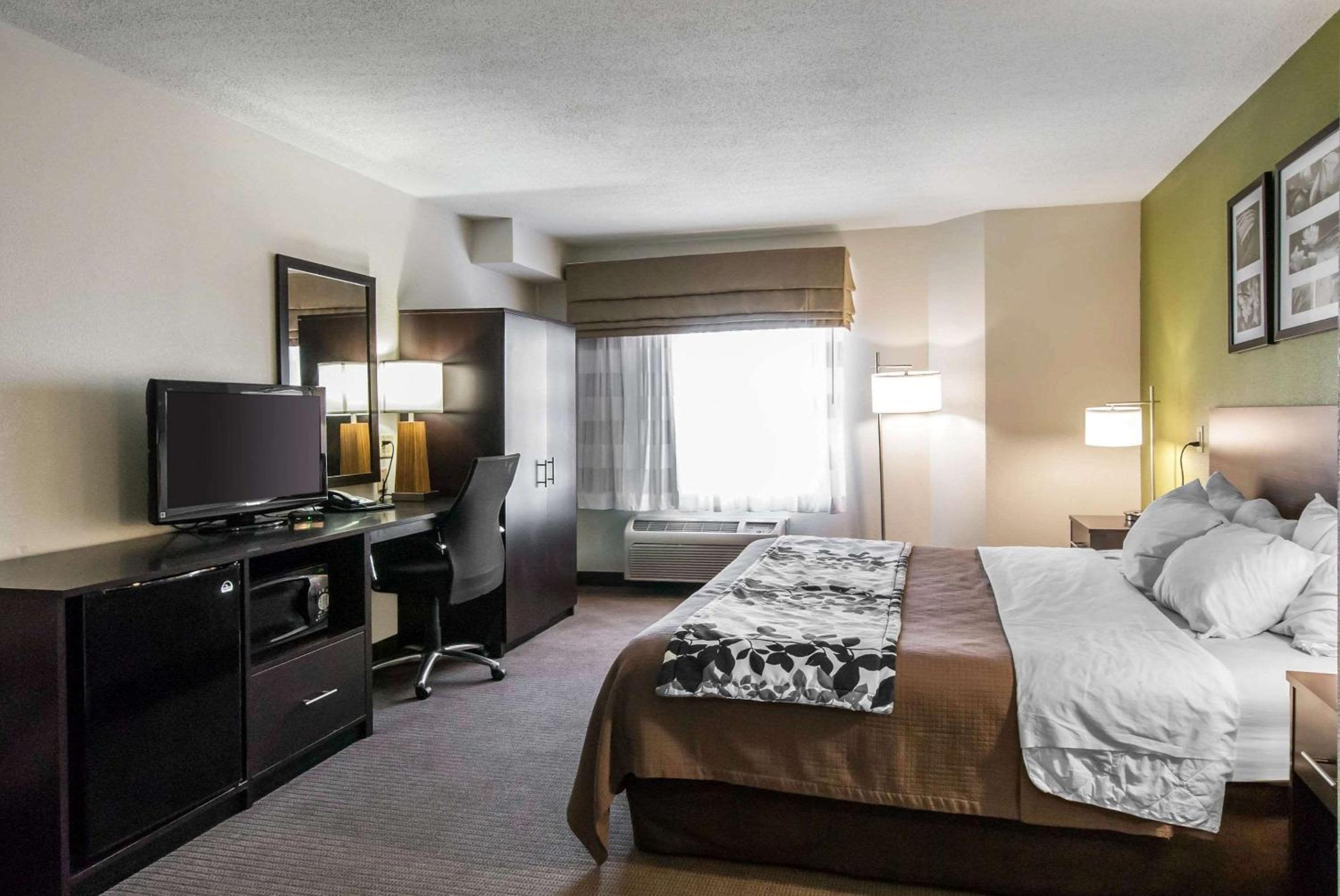 King Room - Accessible/Non-Smoking - Photo 5