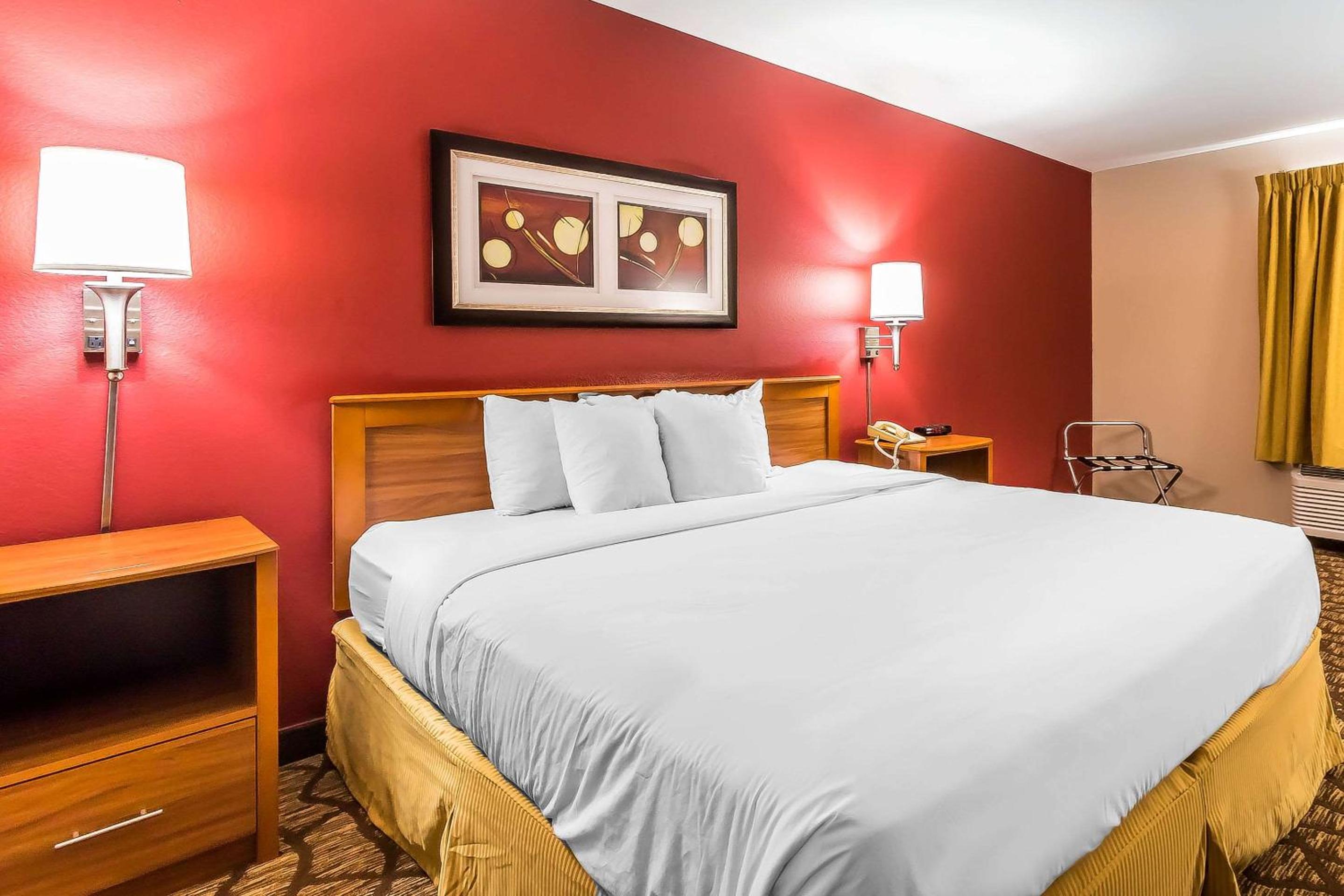 King Room with Roll-In Shower - Accessible/Non-Smoking - Photo 1