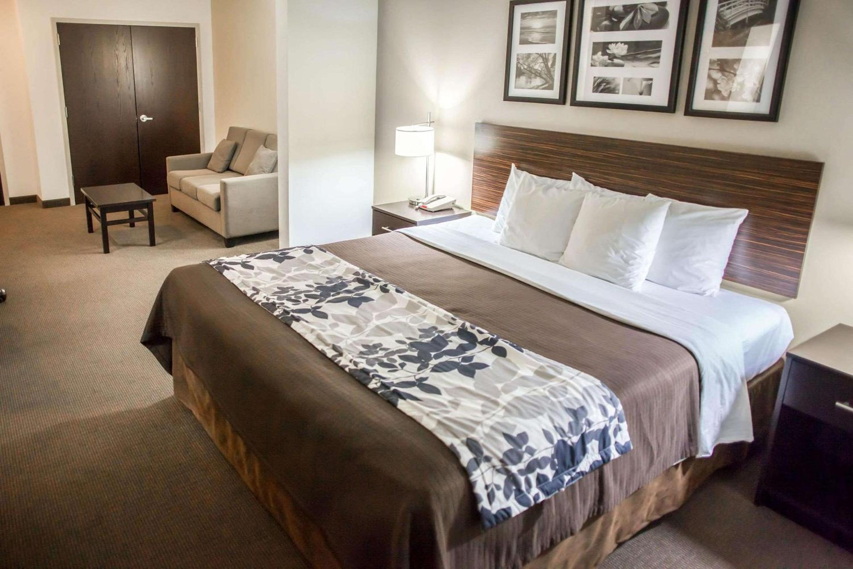 King Suite - Non-Smoking - Photo 1