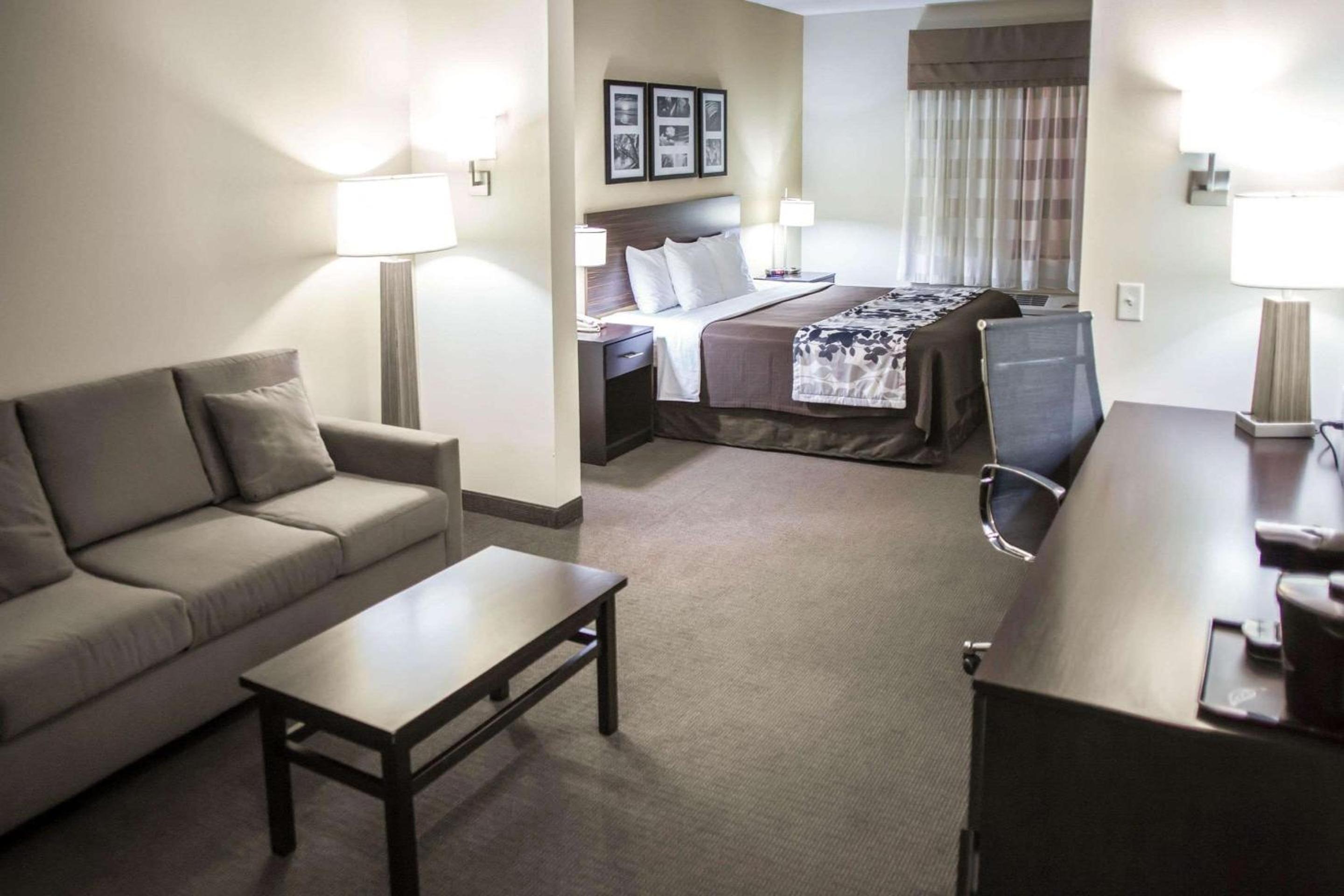 King Suite - Non-Smoking - Photo 4