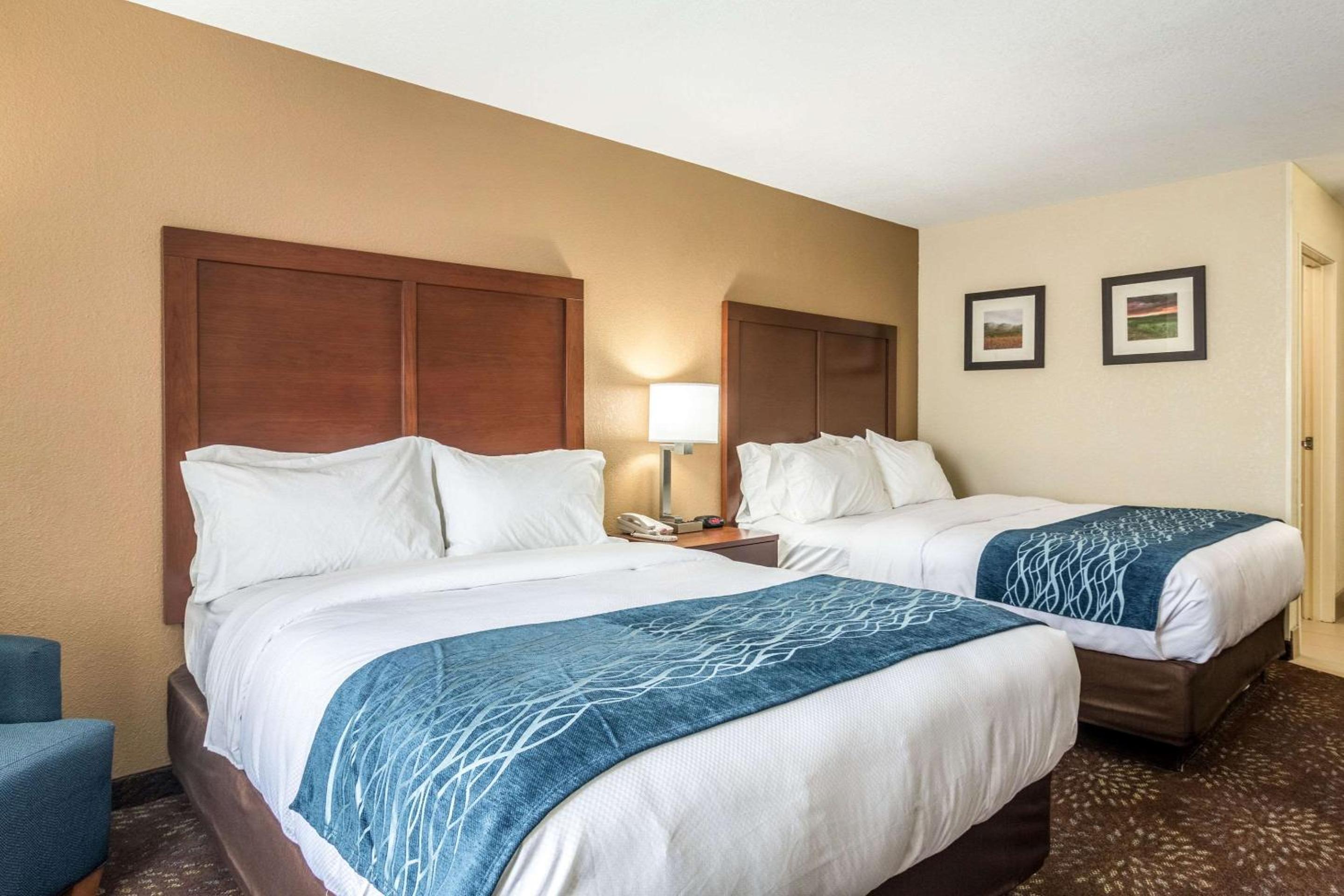Queen Room with Two Queen Beds - Non-Smoking photo 3