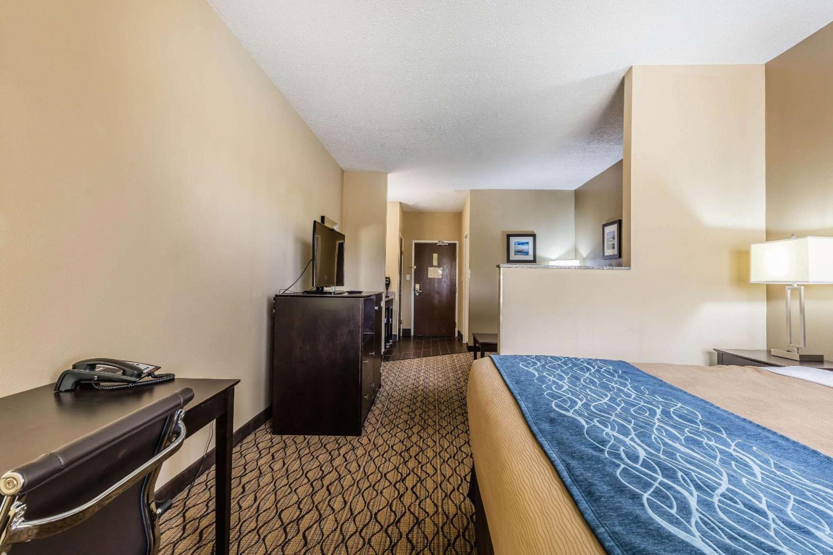 1 King Bed, 2 - Person Sofabed - Photo 1