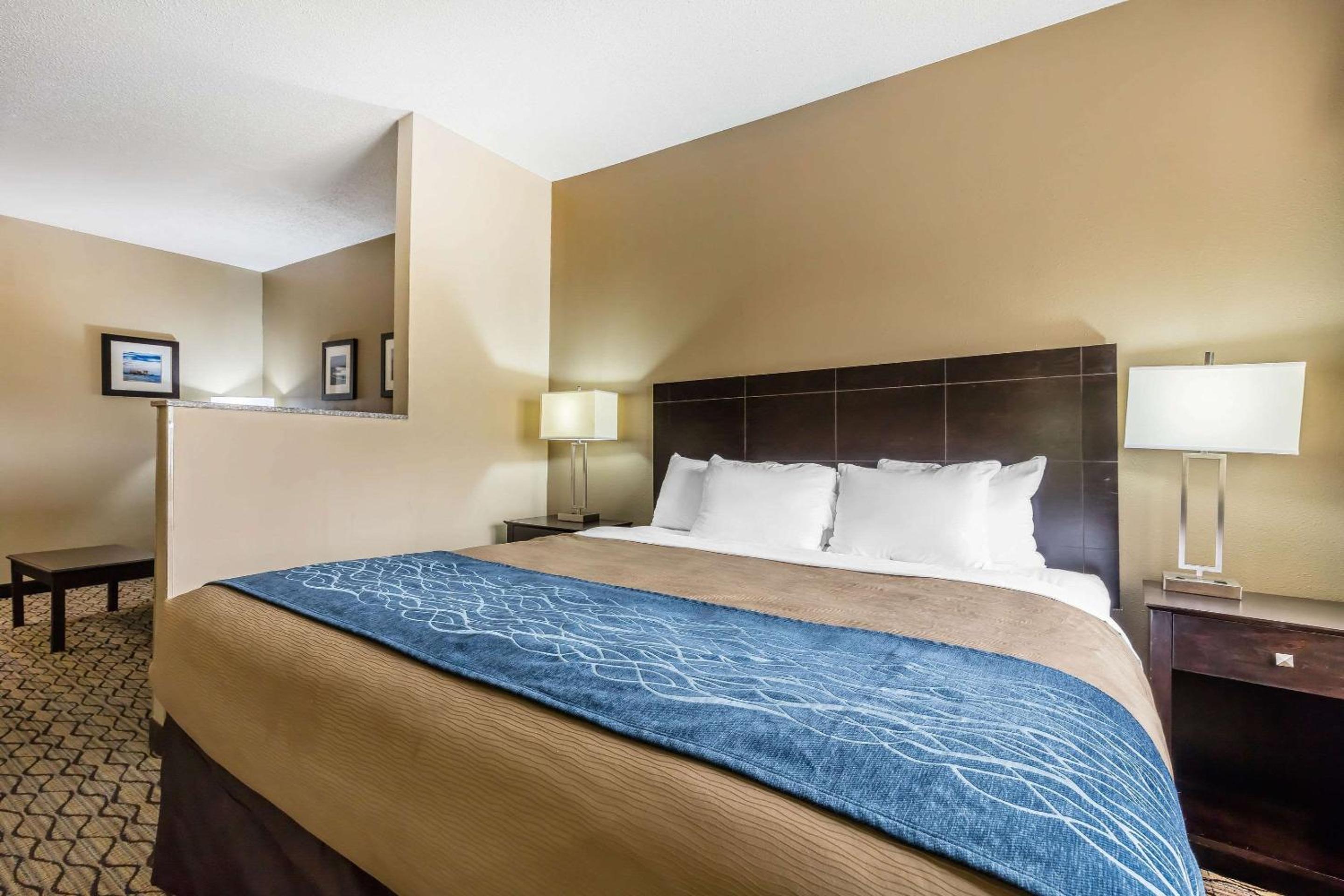 1 King Bed, 2 - Person Sofabed - Photo 4