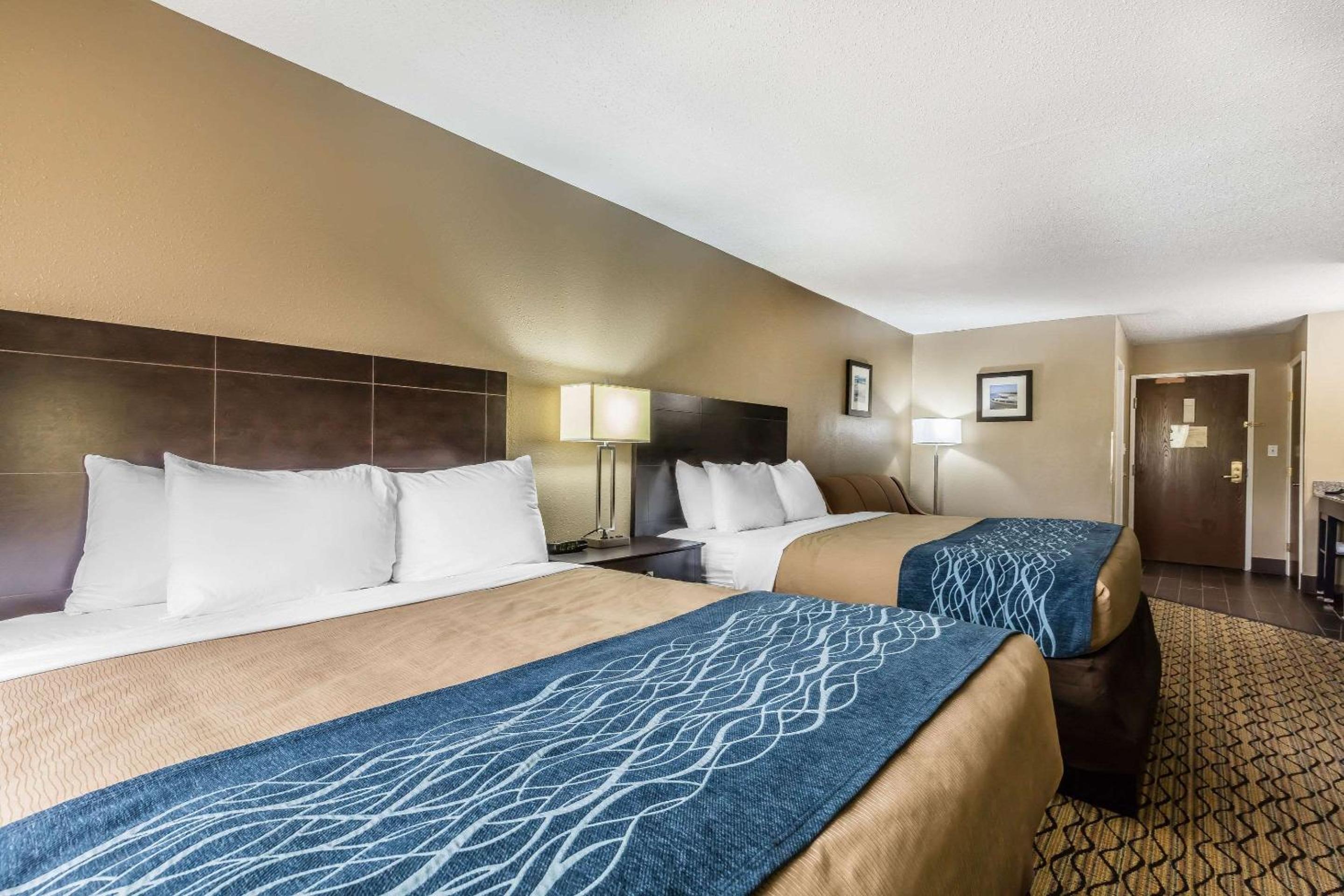 2 Queen Beds, 2 - Person Sofabed - Photo 1