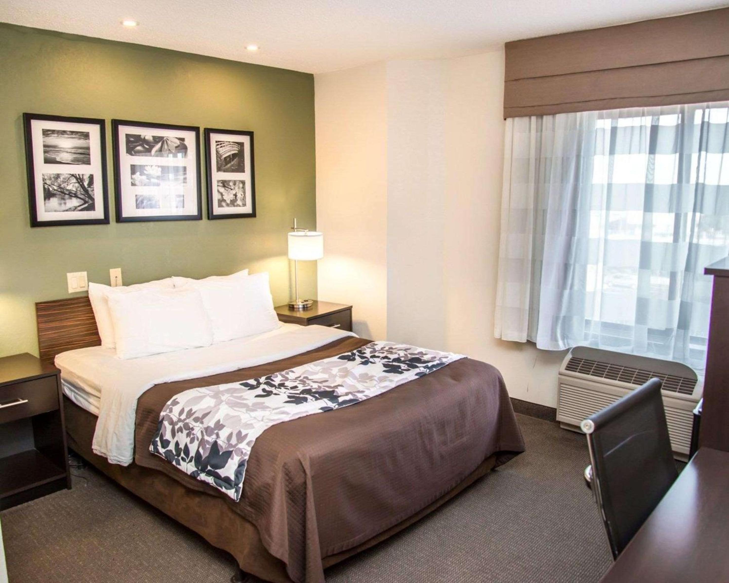 Queen Room -  Disability Access/Non-Smoking - Photo 6