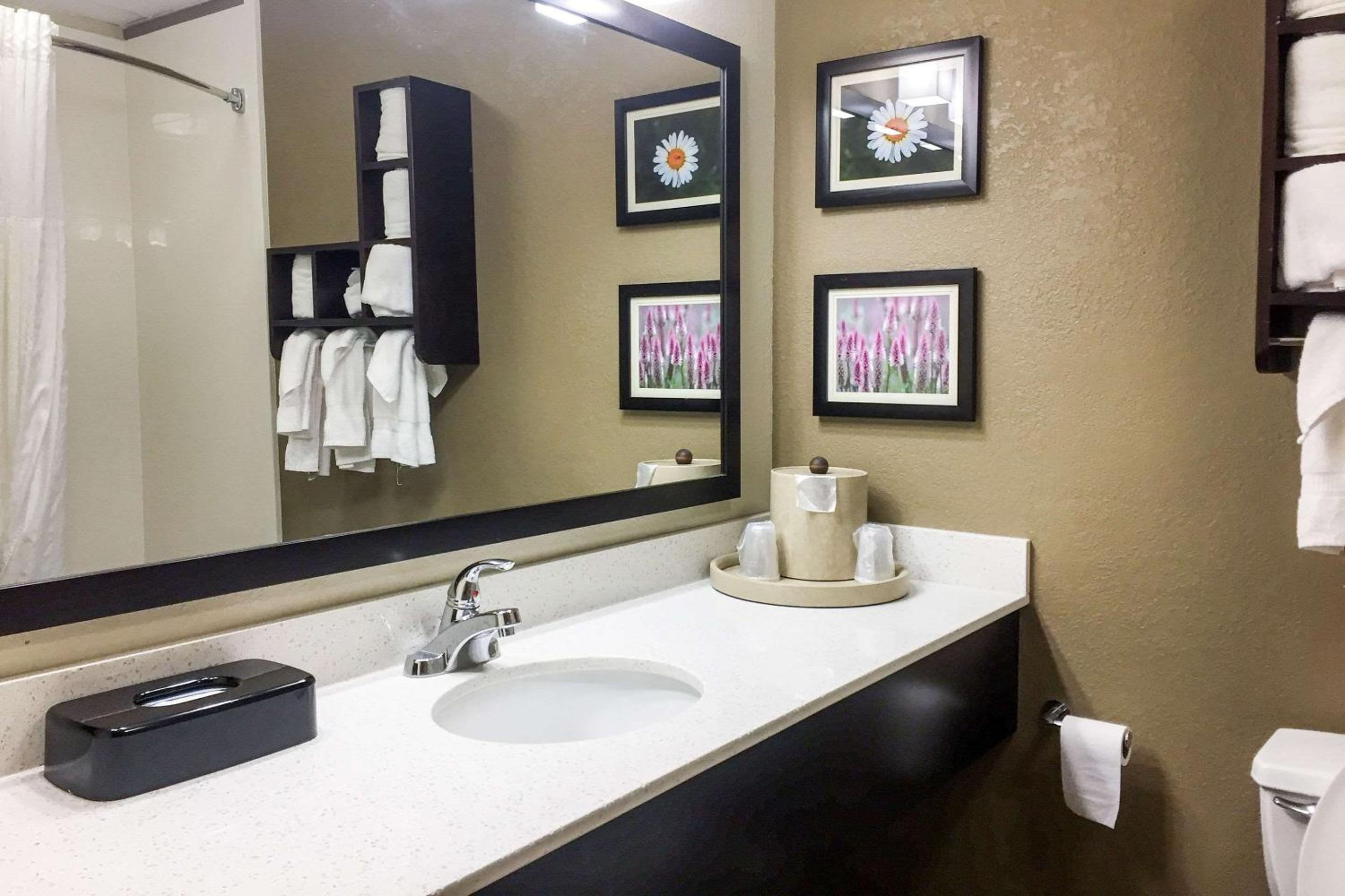 Executive King Suite - Non-Smoking - Photo 3