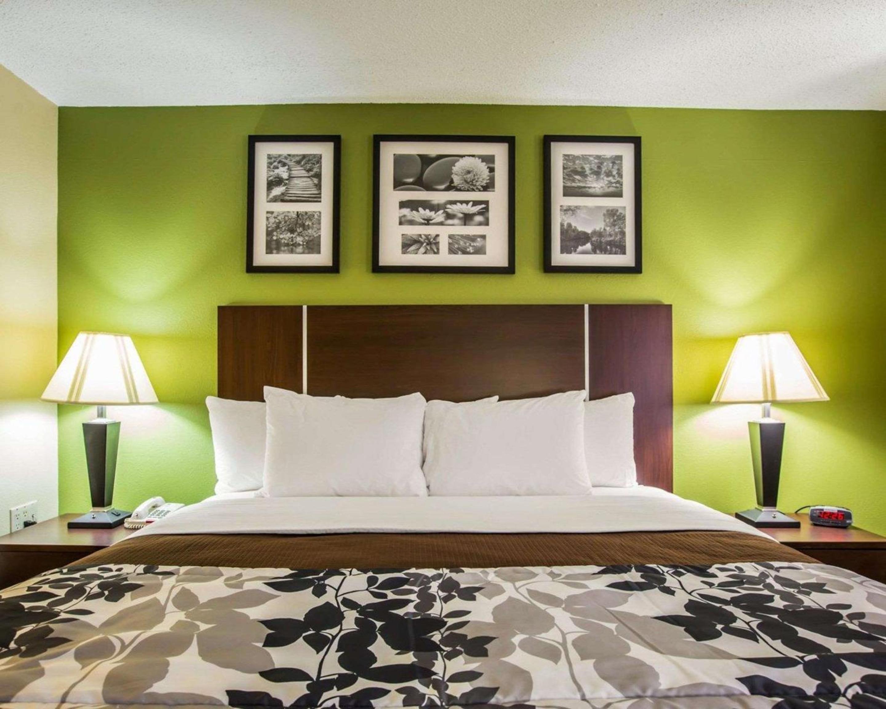 King Room - Non-Smoking - Photo 5