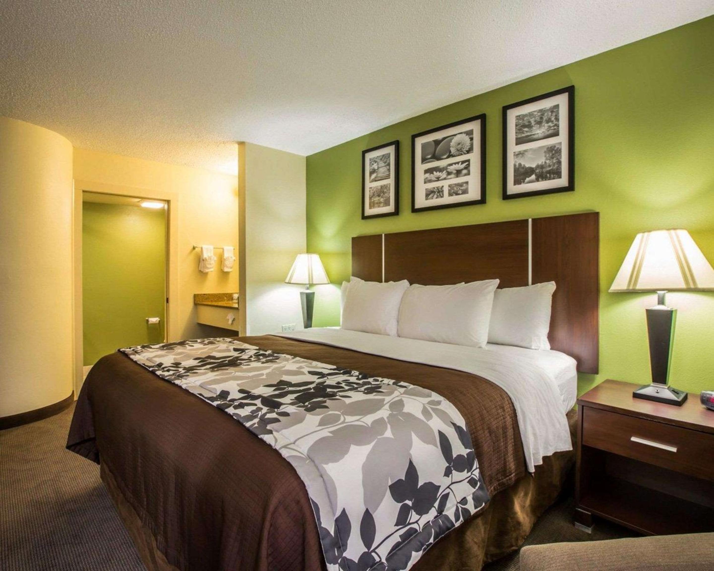 King Room - Non-Smoking - Photo 6