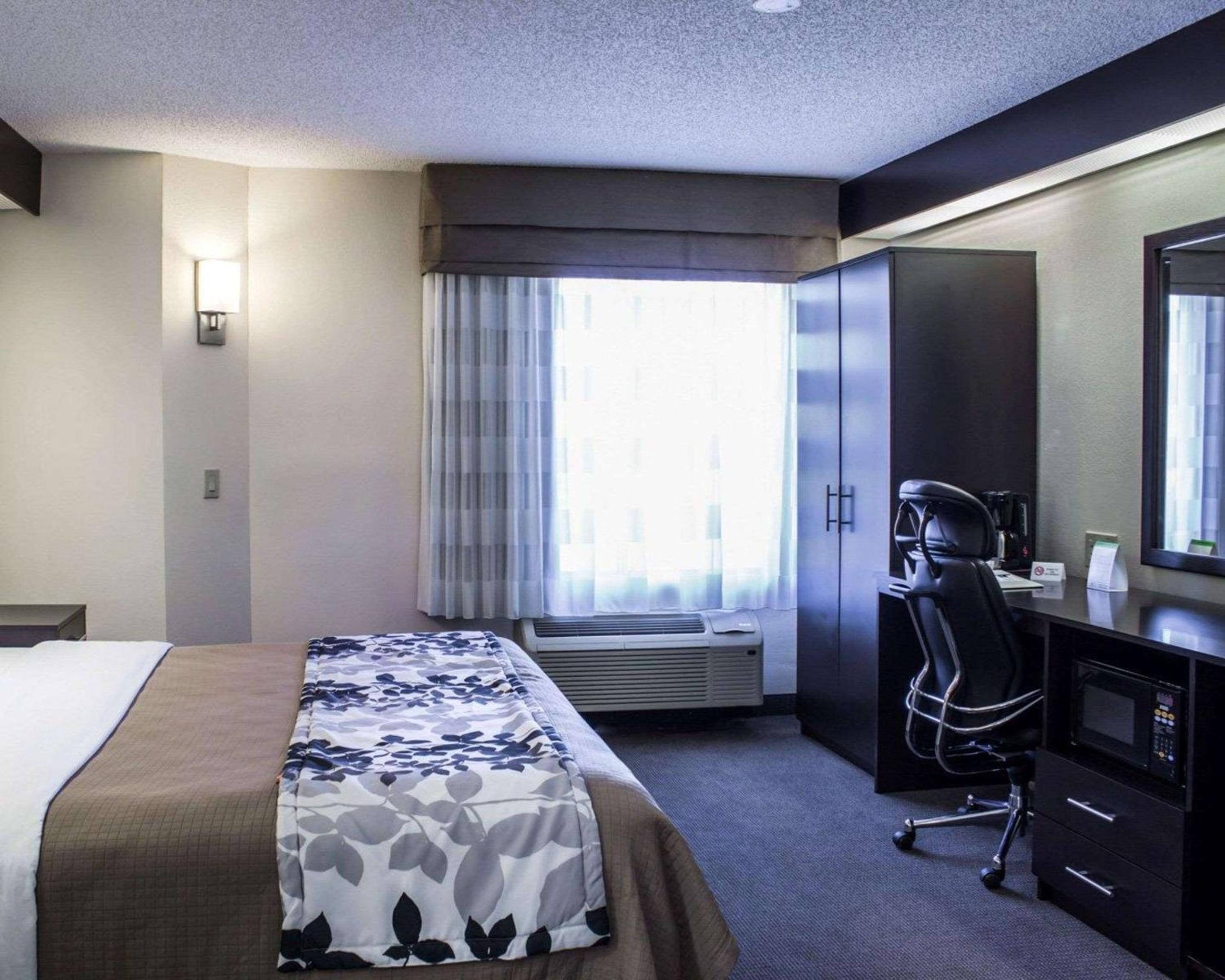 King Room - Non-Smoking photo 3