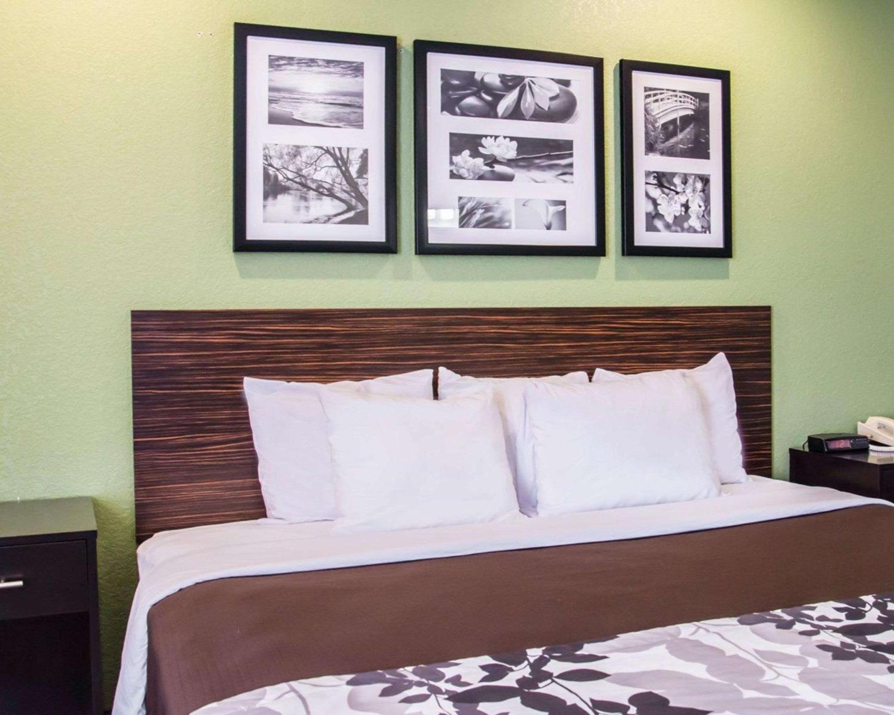 King Room - Photo 4