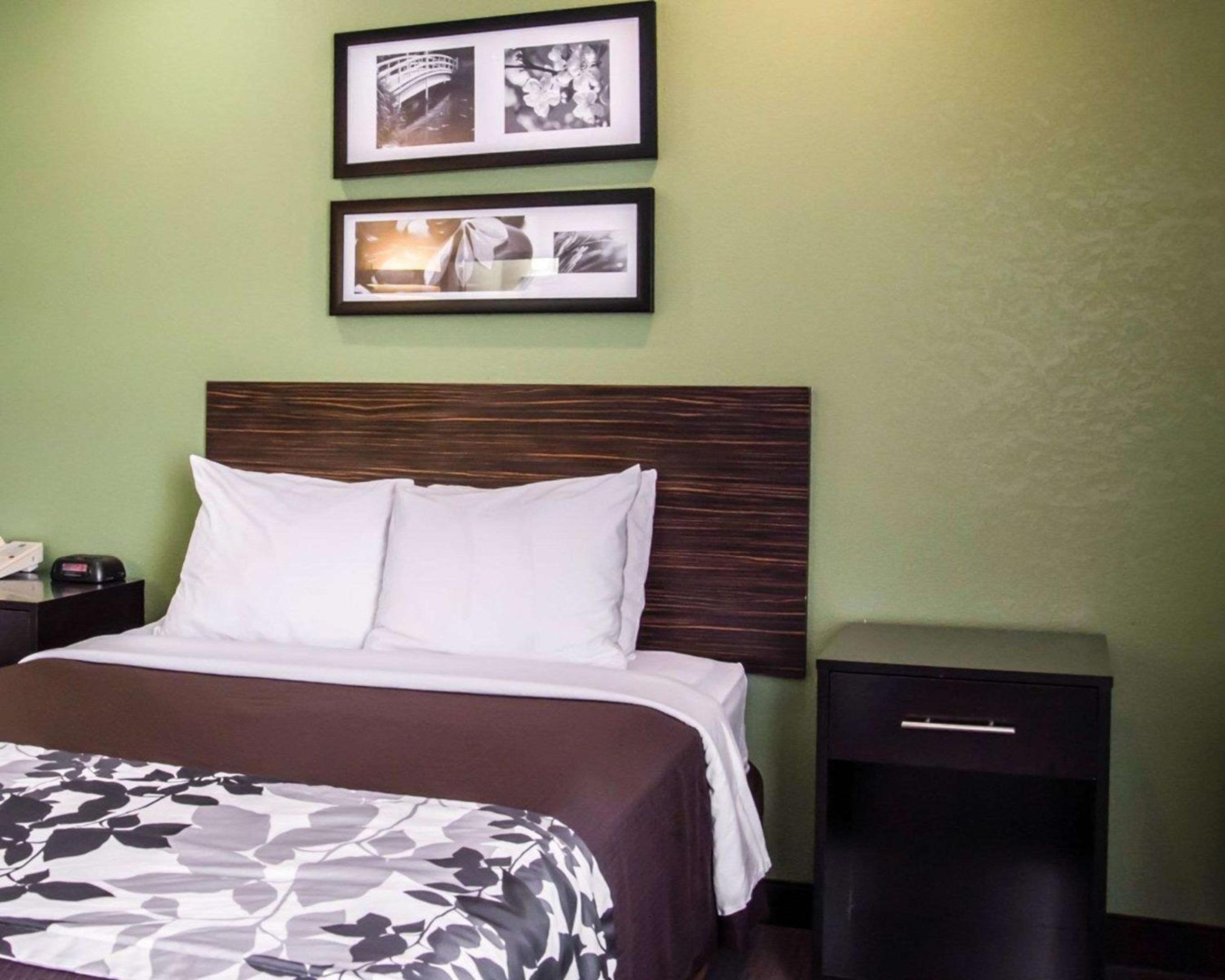 Queen Room - Disability Access/Non-Smoking - Photo 5