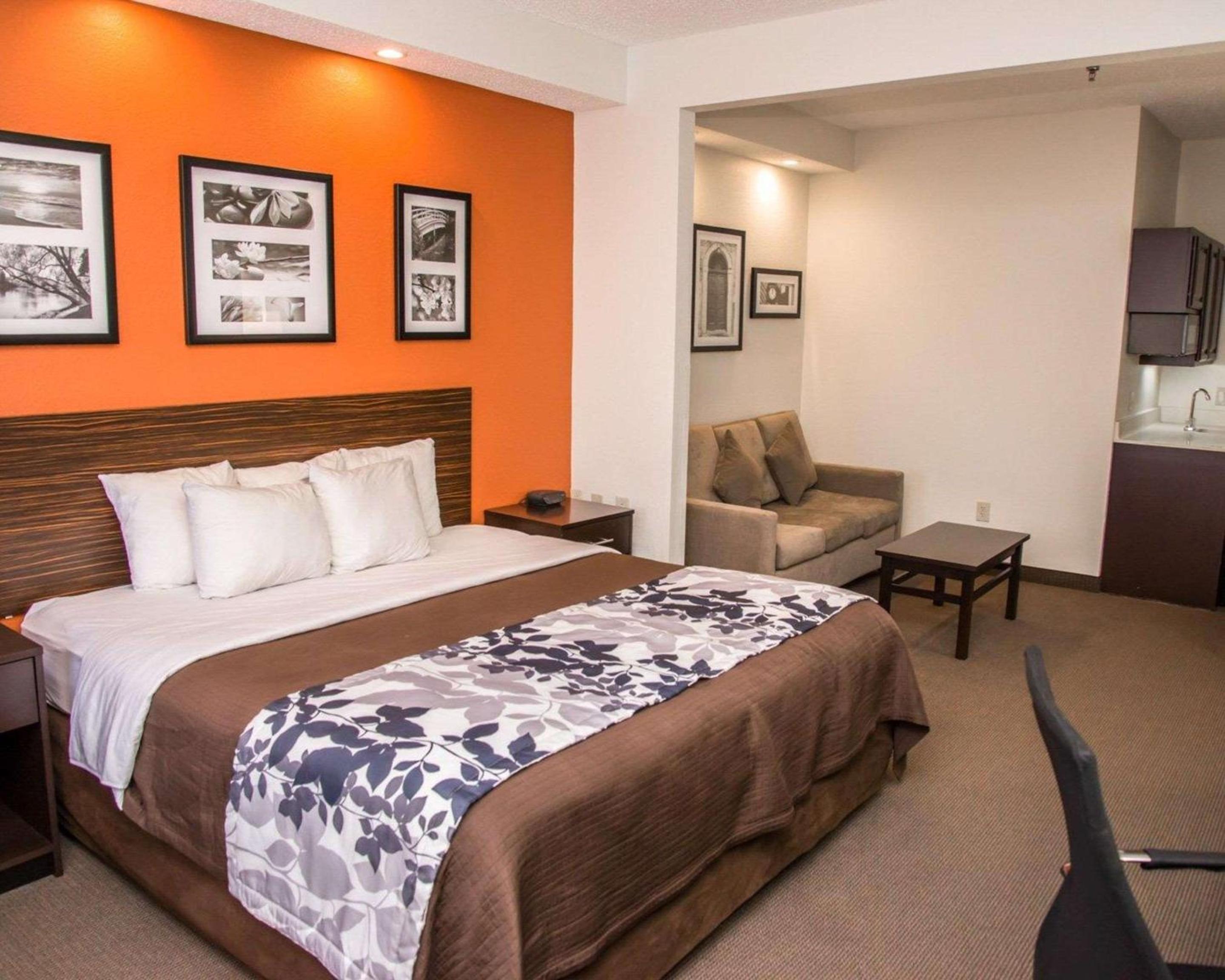 King Suite - Non-Smoking - Photo 3