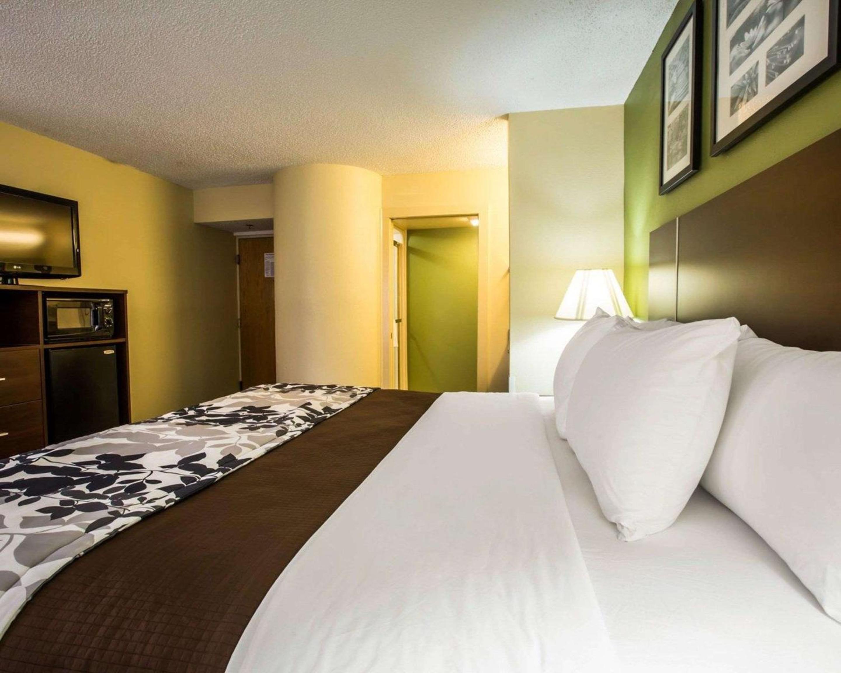 King Room - Non-Smoking - Photo 3