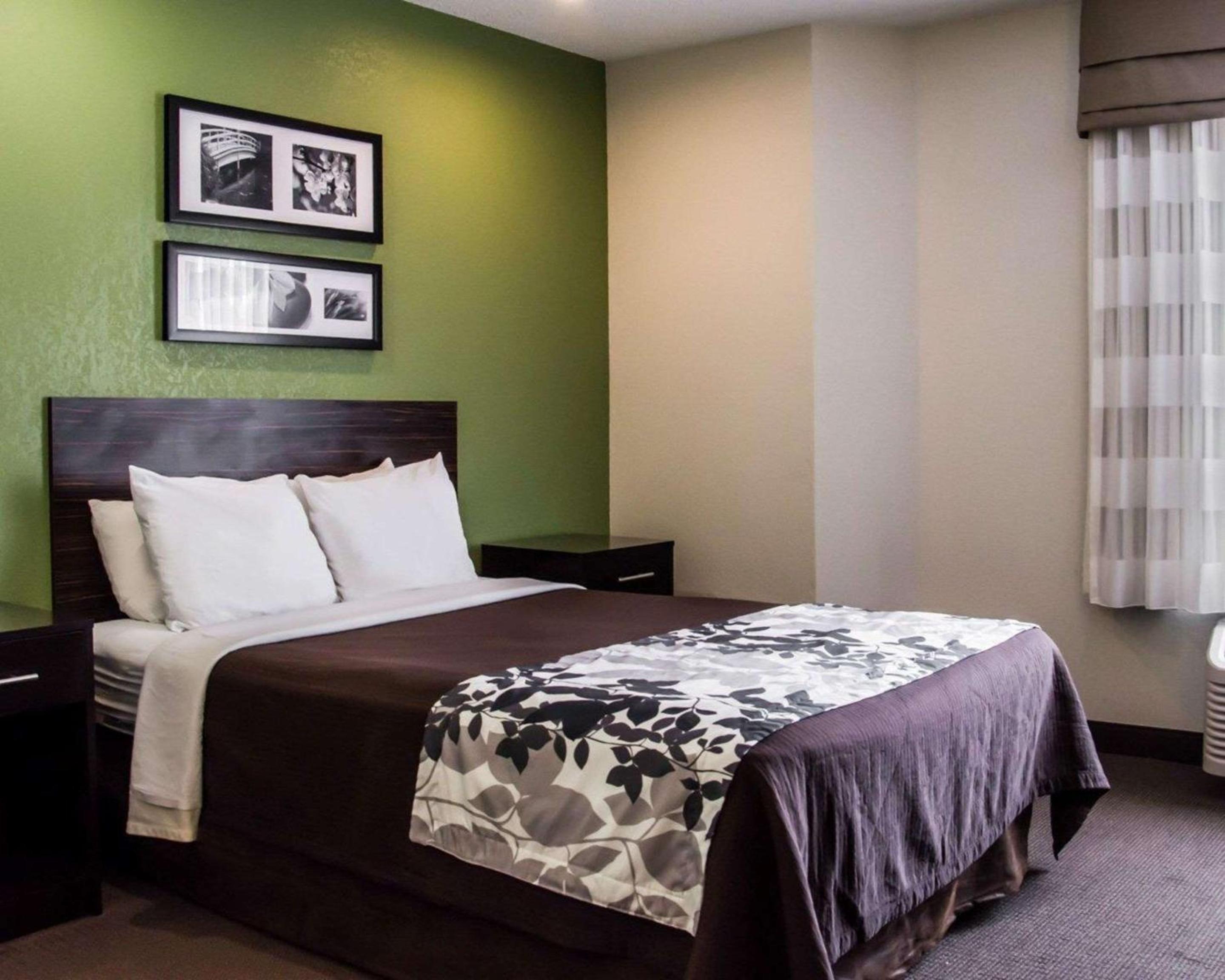 Queen Room - Disability Access/Non-Smoking - Photo 4