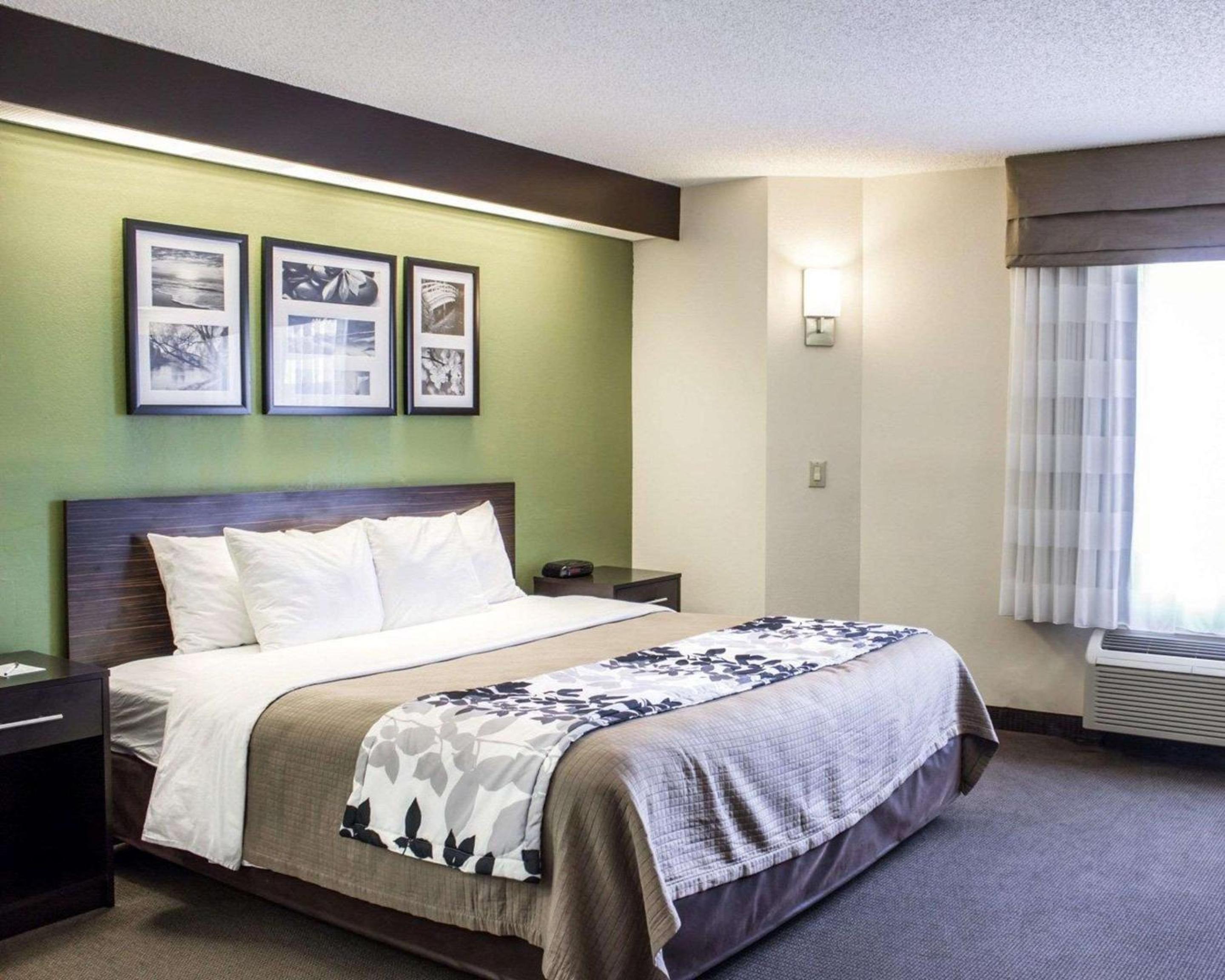 King Room - Non-Smoking photo 2