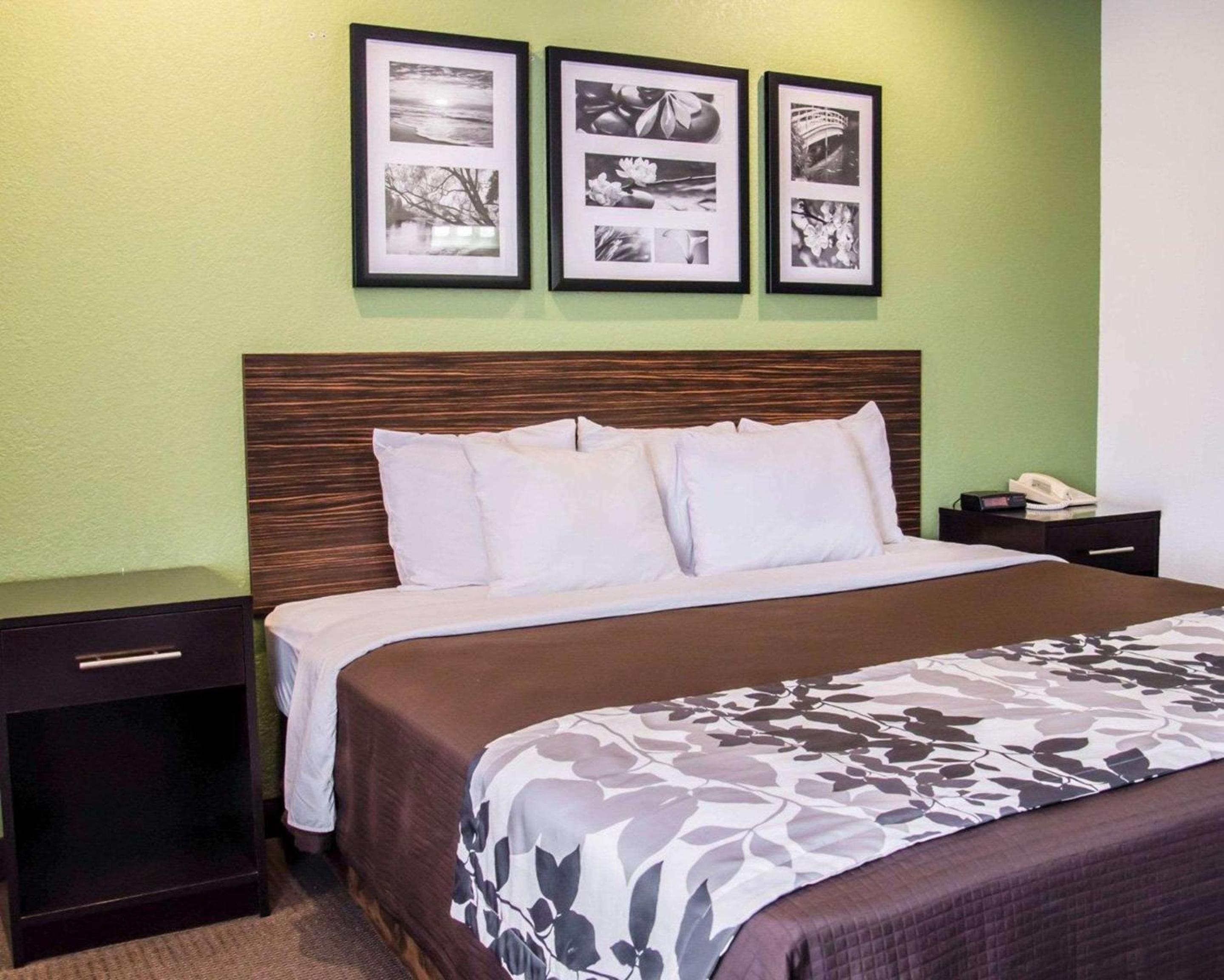 King Room - Photo 5