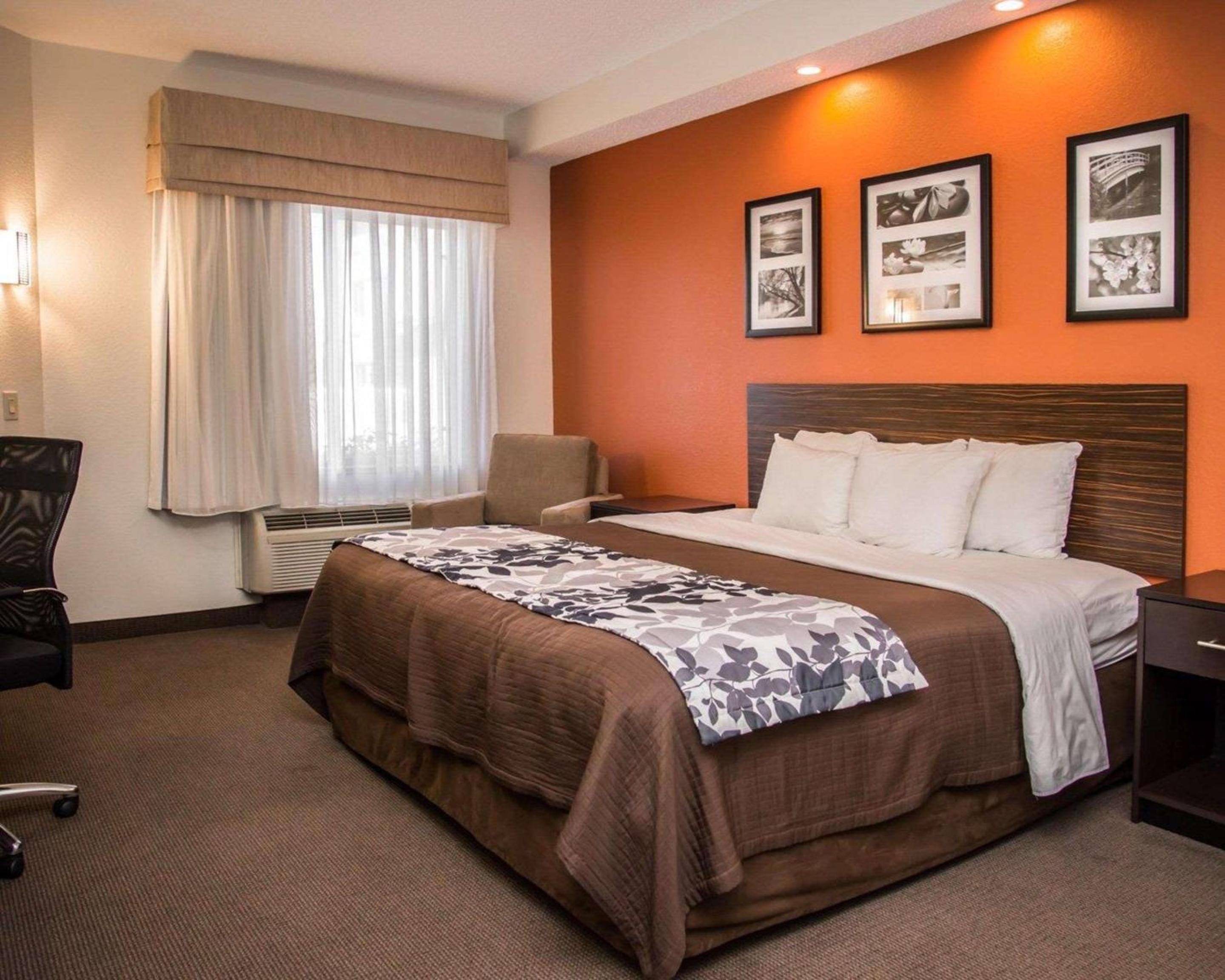 King Suite - Non-Smoking - Photo 2