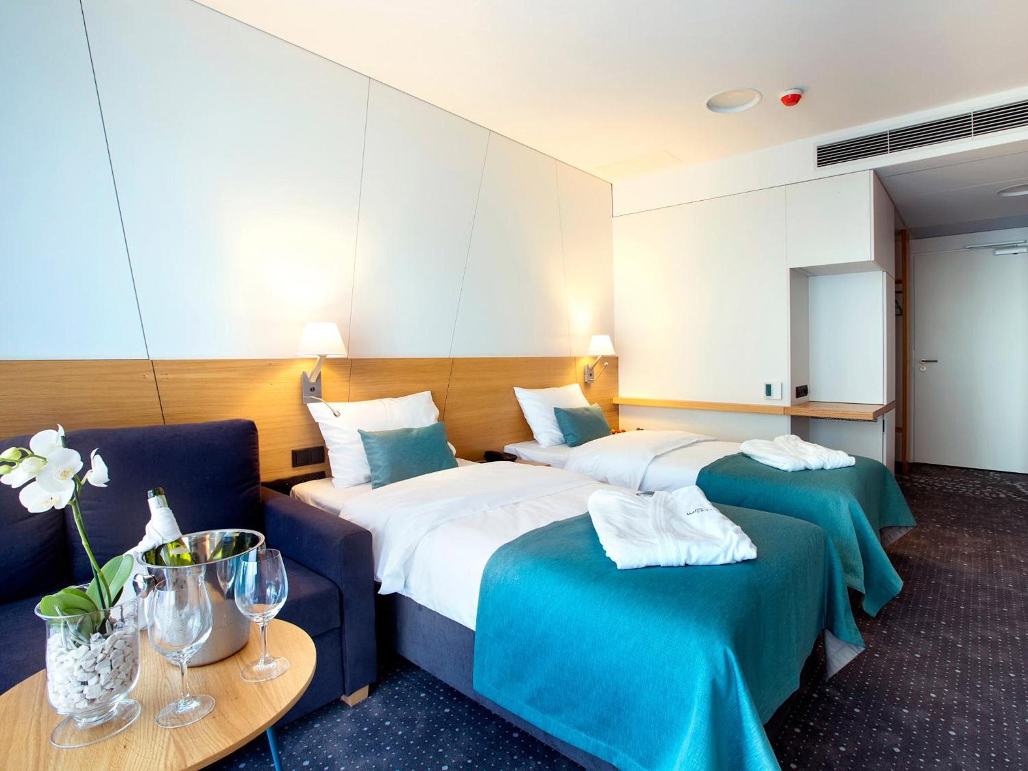 Deluxe Double or Twin Room photo 1