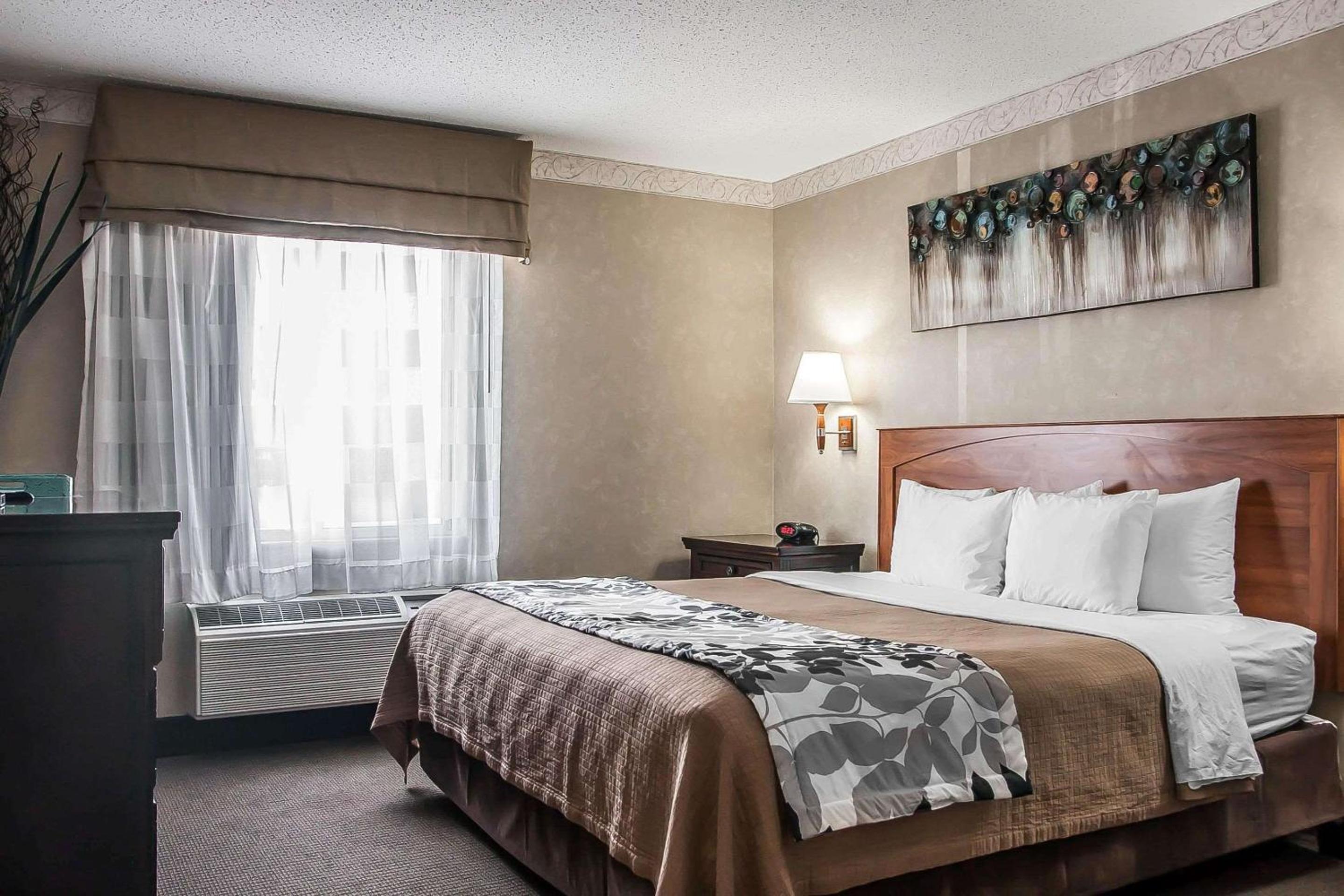 King Room with Bath Tub - Accessible/Non-Smoking