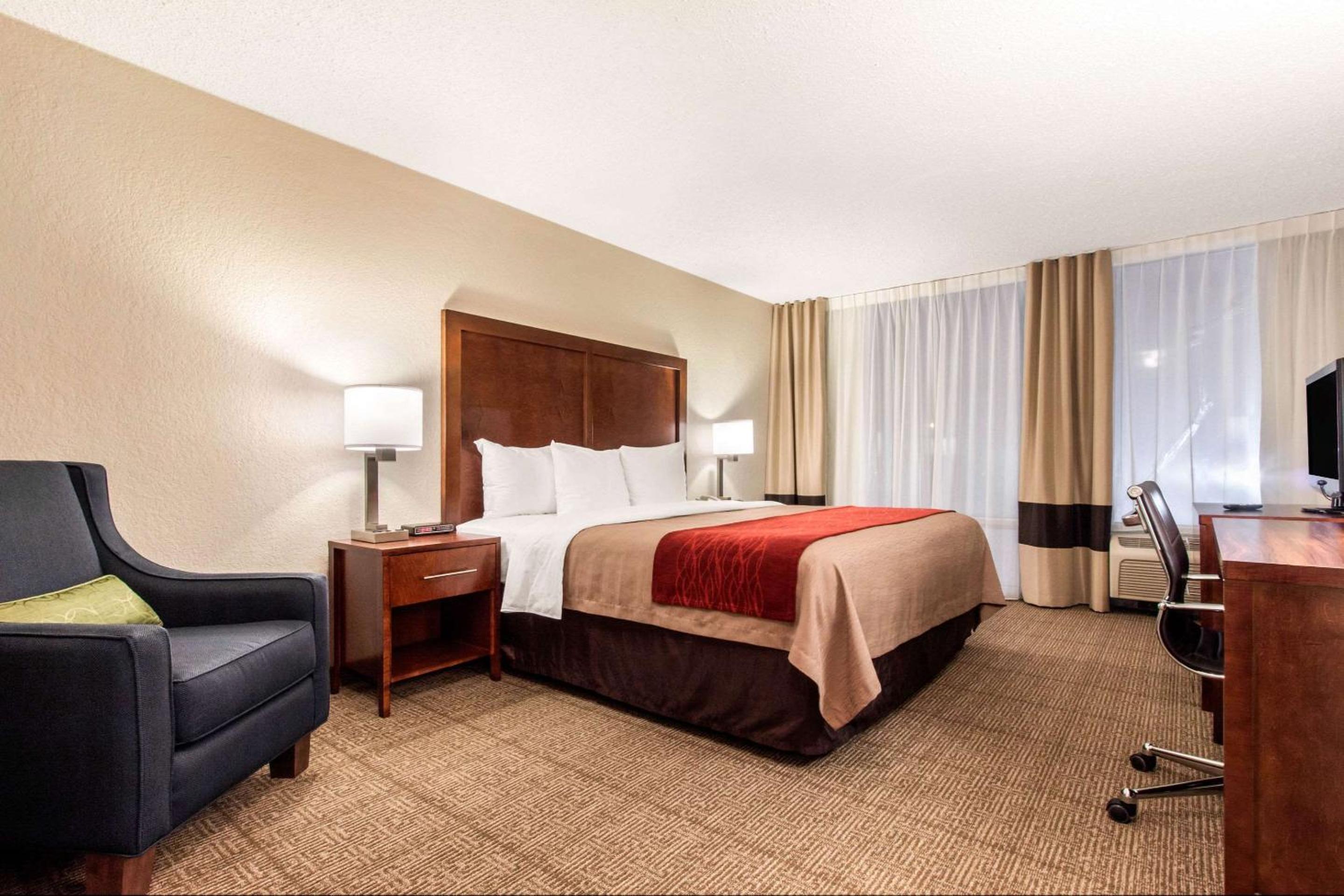 King Suite with Sofa Bed - Non-Smoking