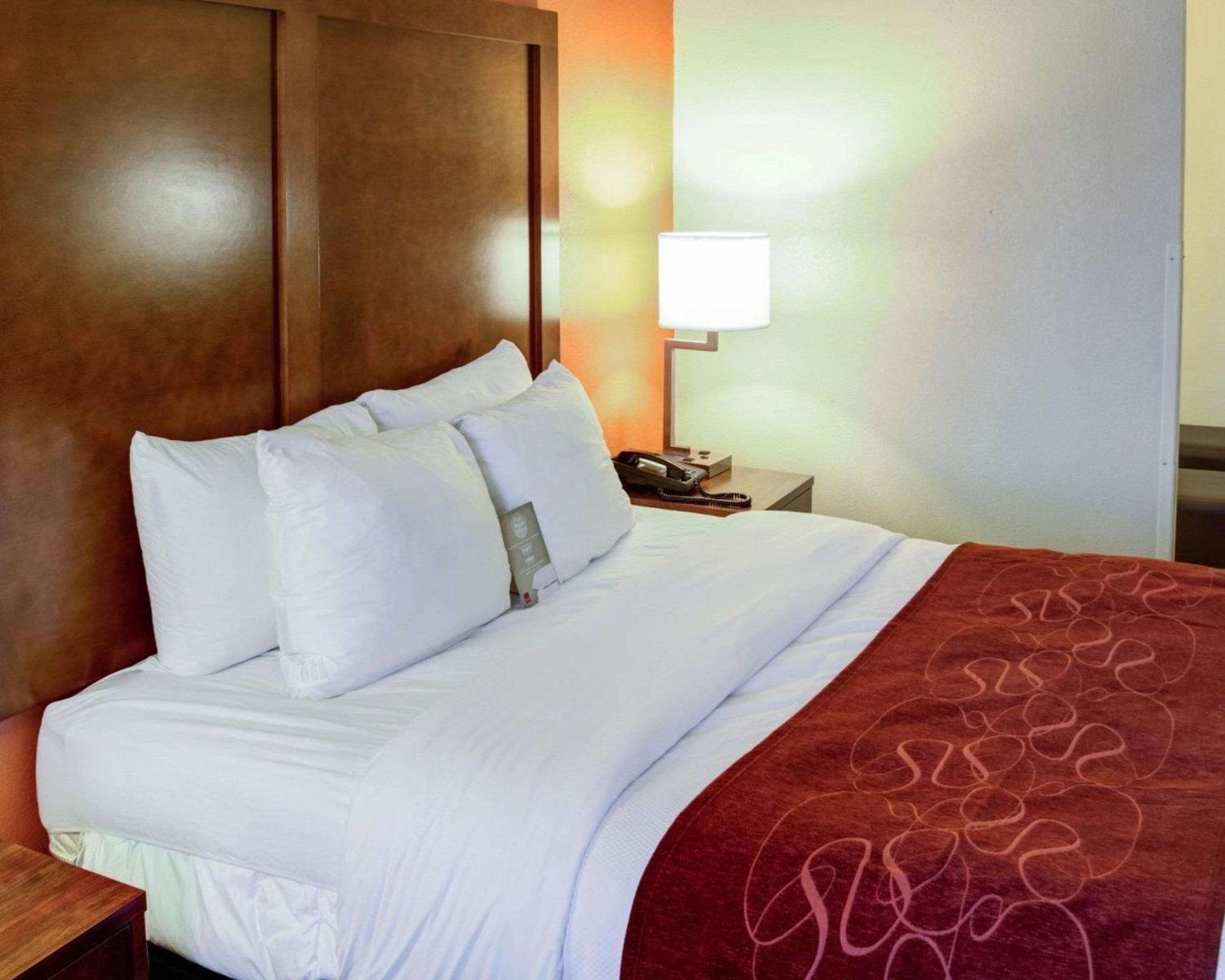 Queen Suite with Sofa Bed - Disability Access/Non-Smoking - Photo 3