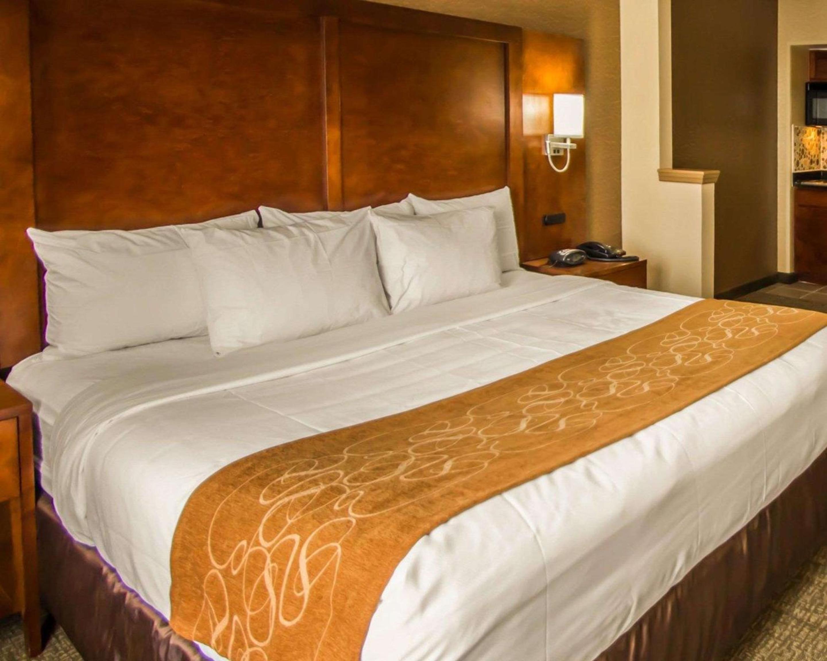 Efficiency King Suite with Kitchenette photo 3