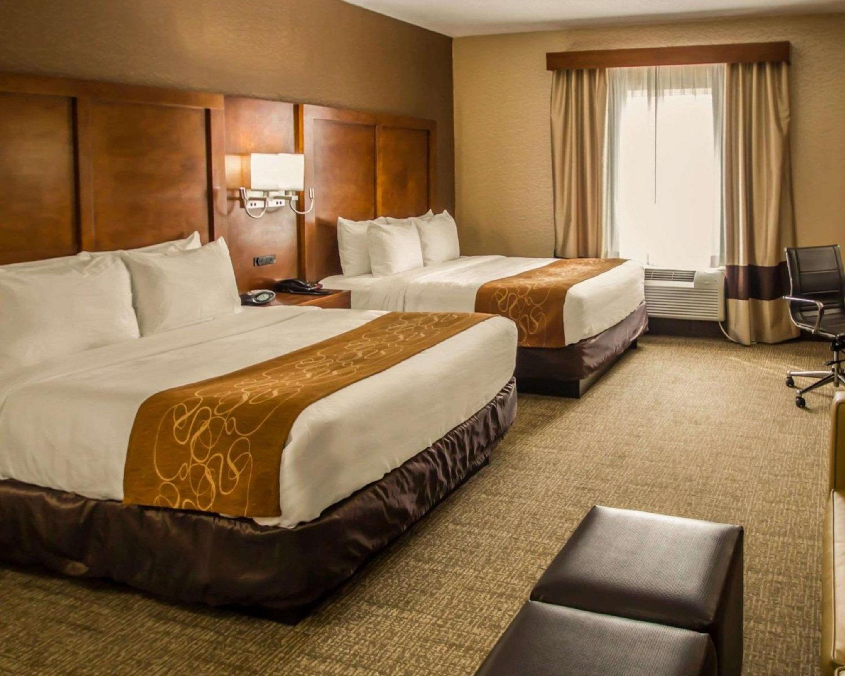 Efficiency Queen Suite with Kitchenette photo 3