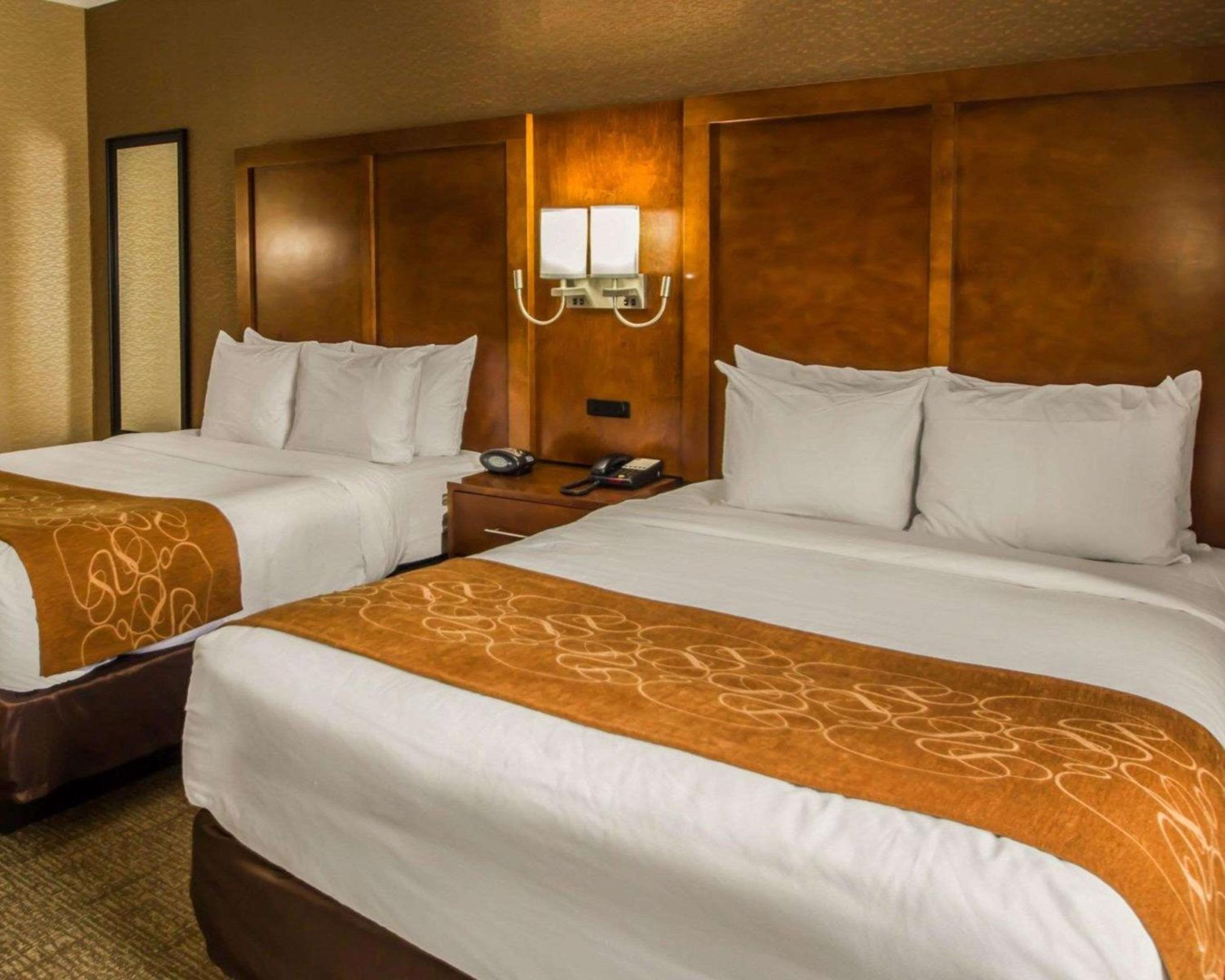 Efficiency Queen Suite with Kitchenette photo 2