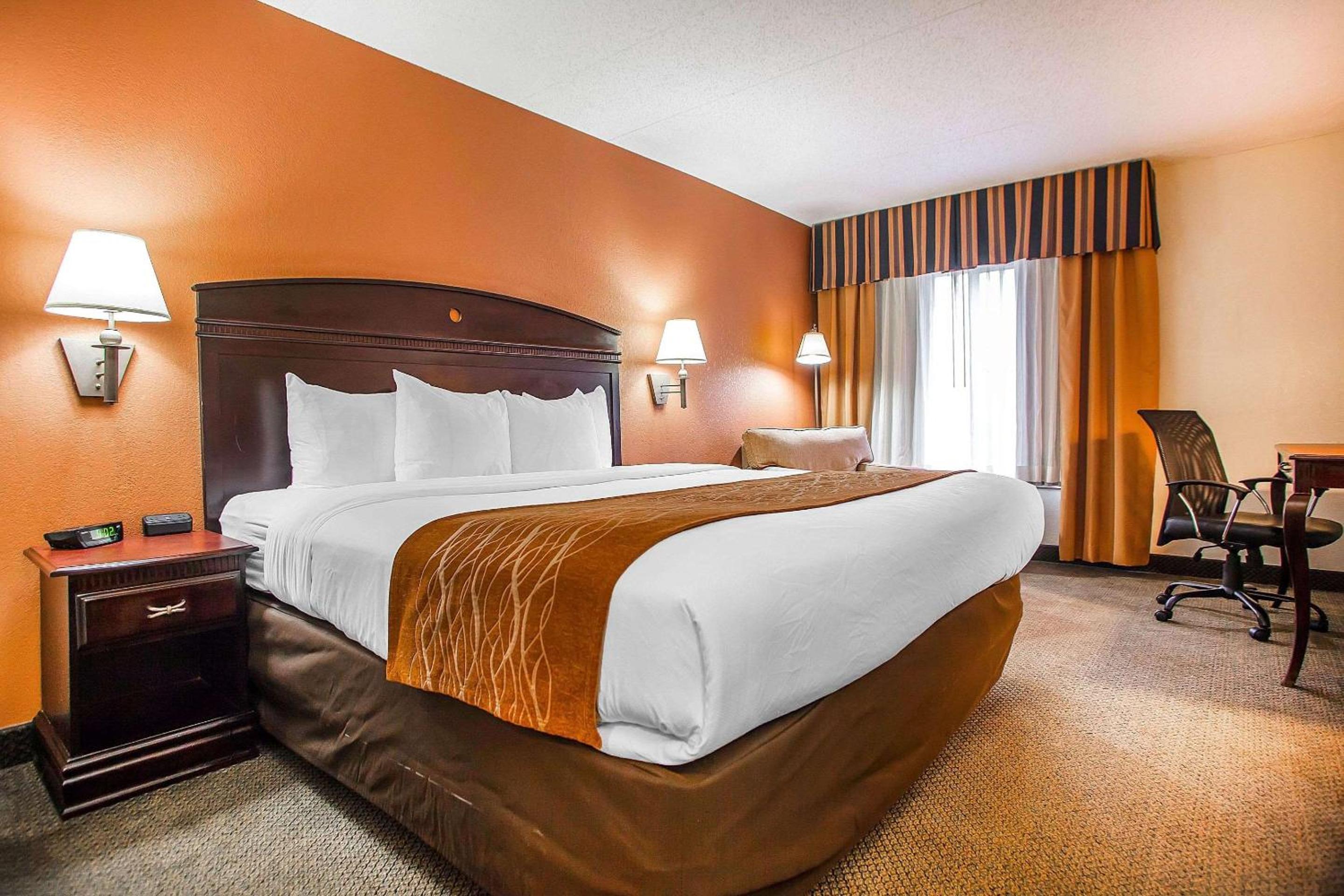 King Room photo 1