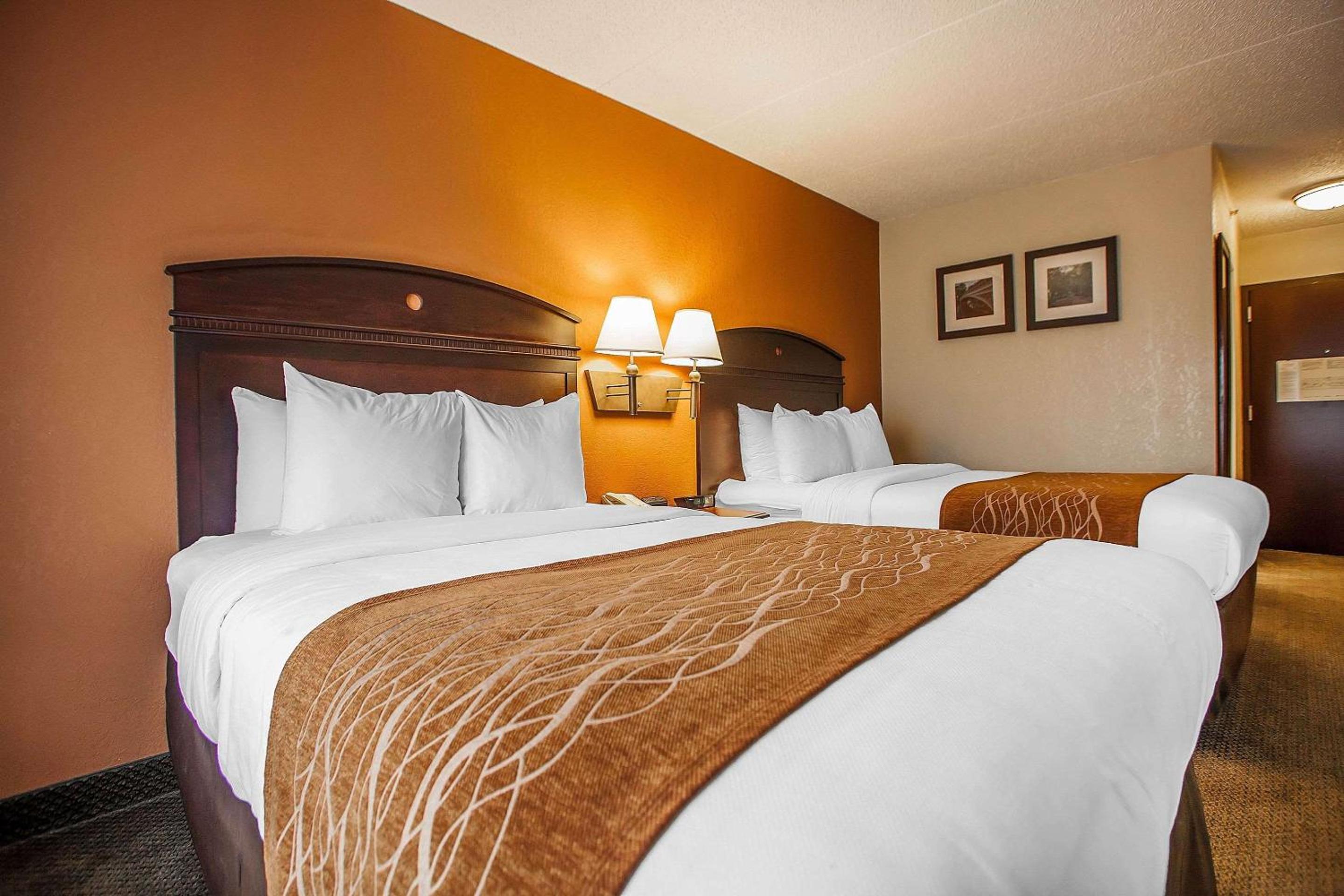 Double Room with Two Double Beds