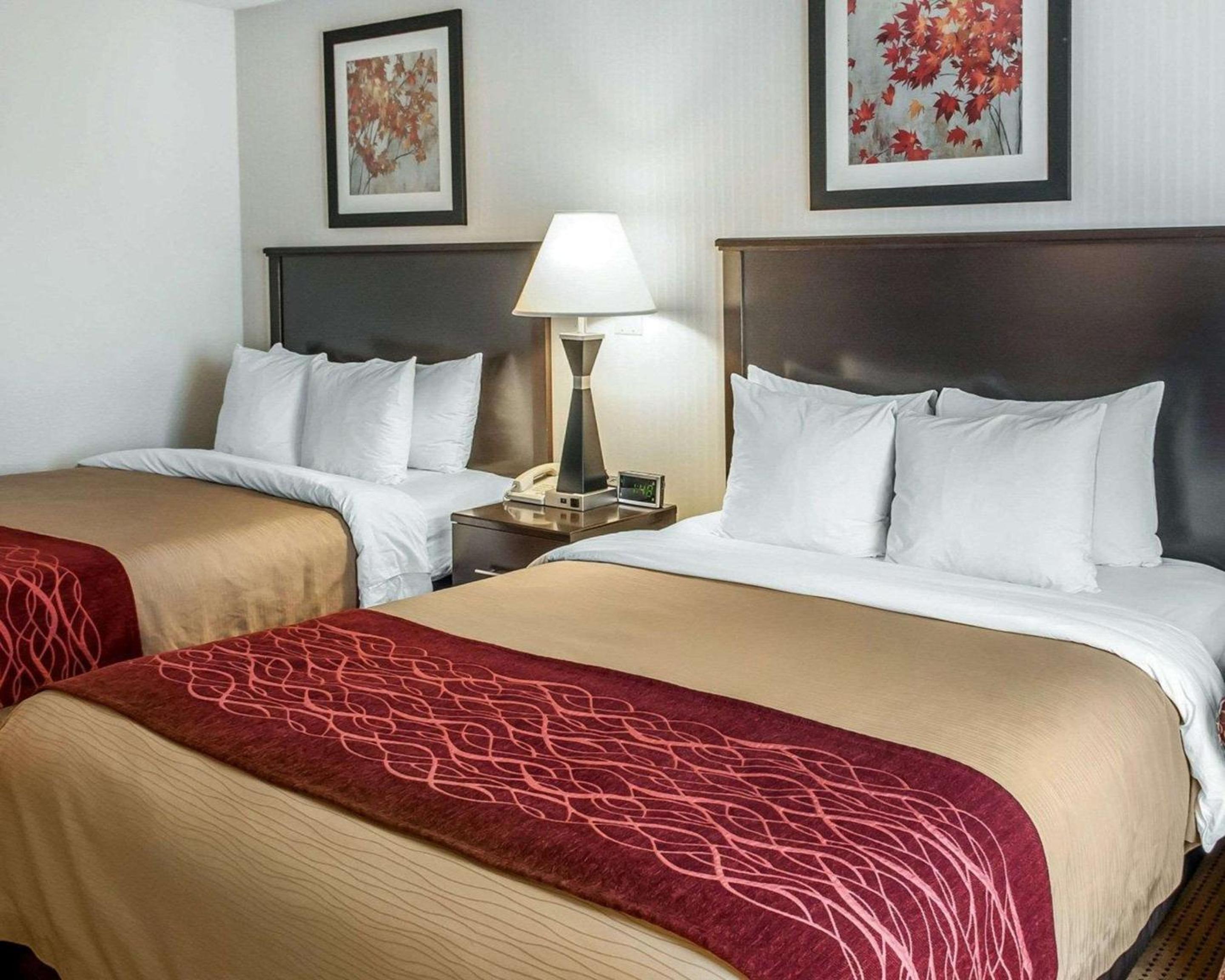 Queen Room with Two Queen Beds - Non-Smoking - Photo 1