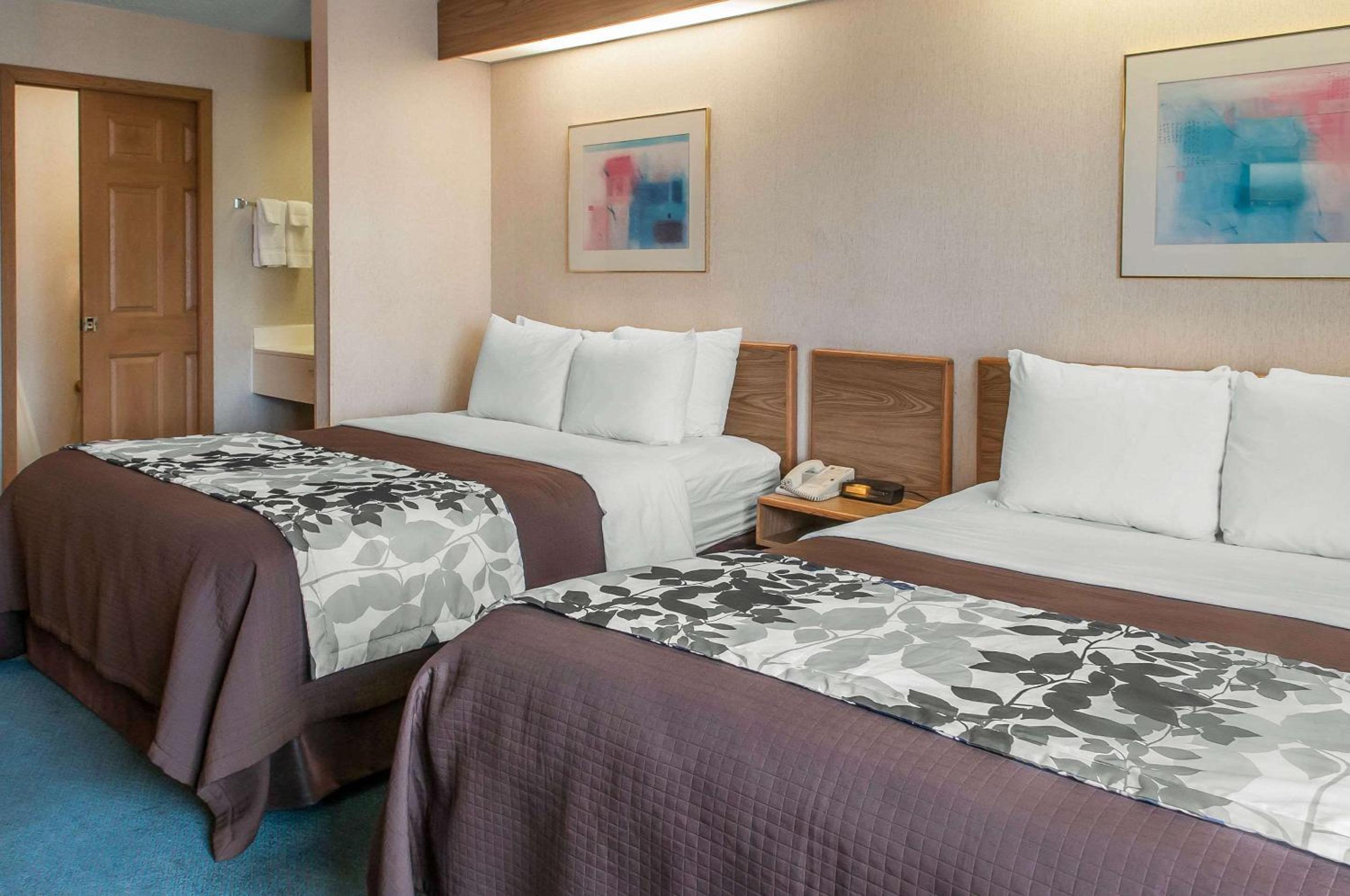 Queen Room with Two Queen Beds - Non-Smoking photo 2