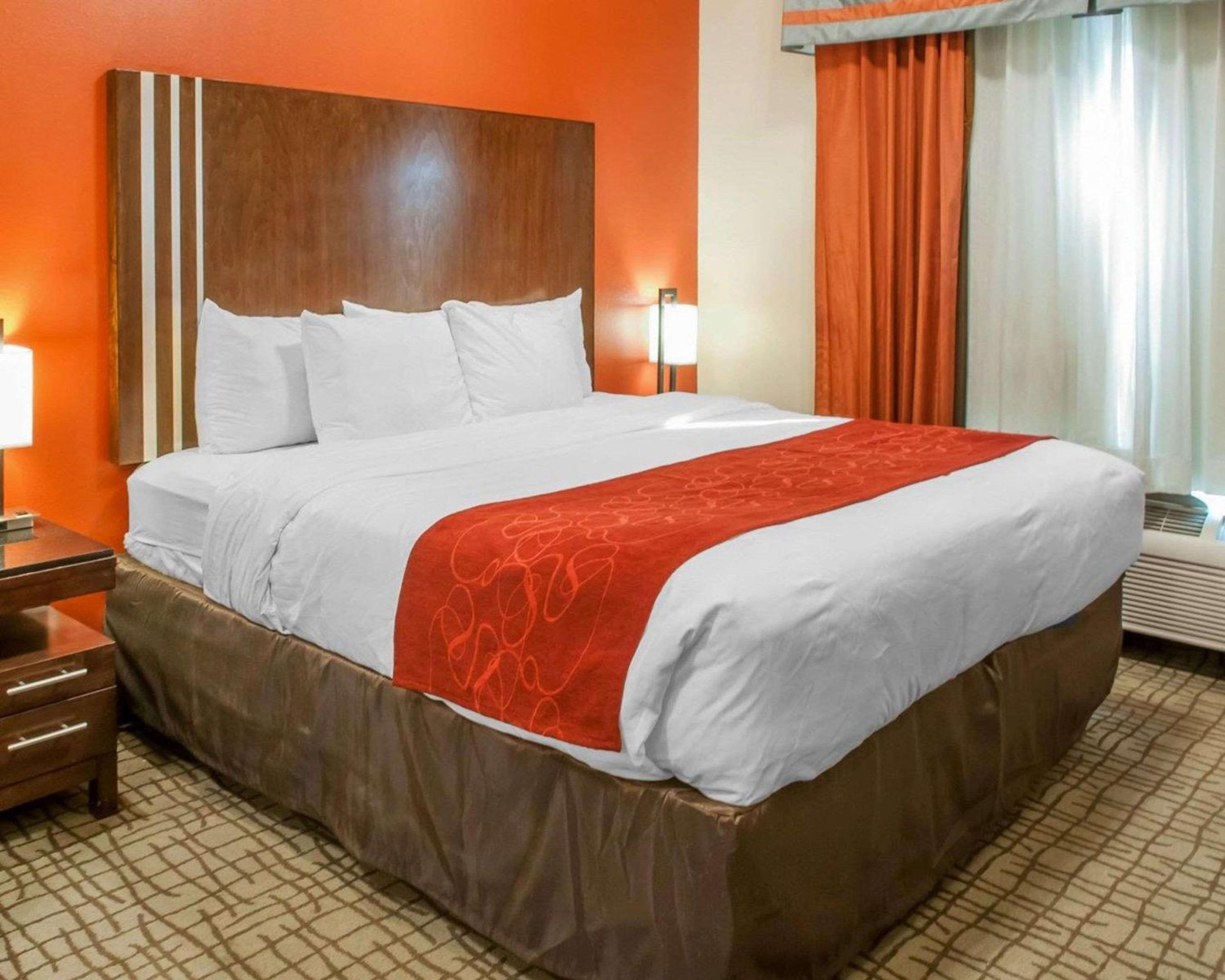 King Suite photo 3