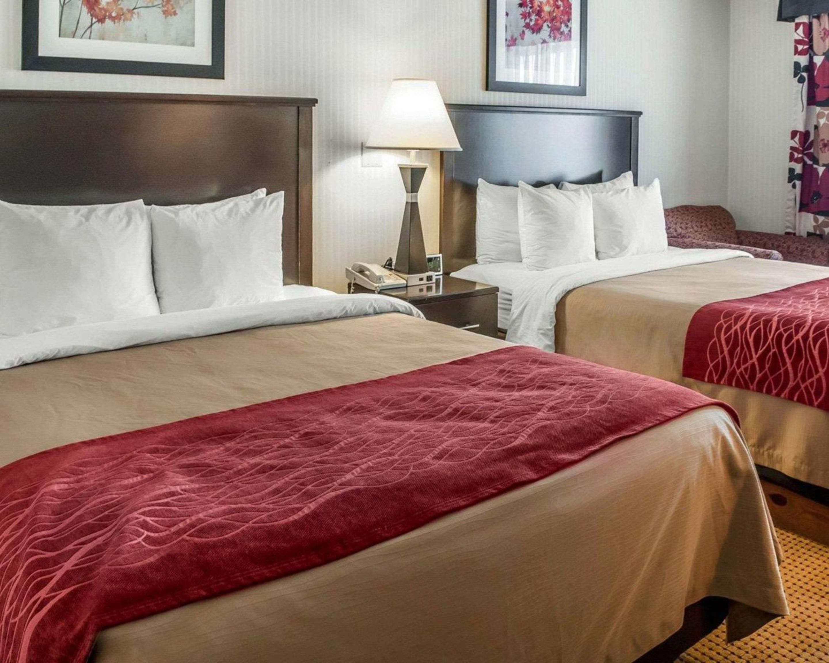 Queen Room with Two Queen Beds - Non-Smoking - Photo 5