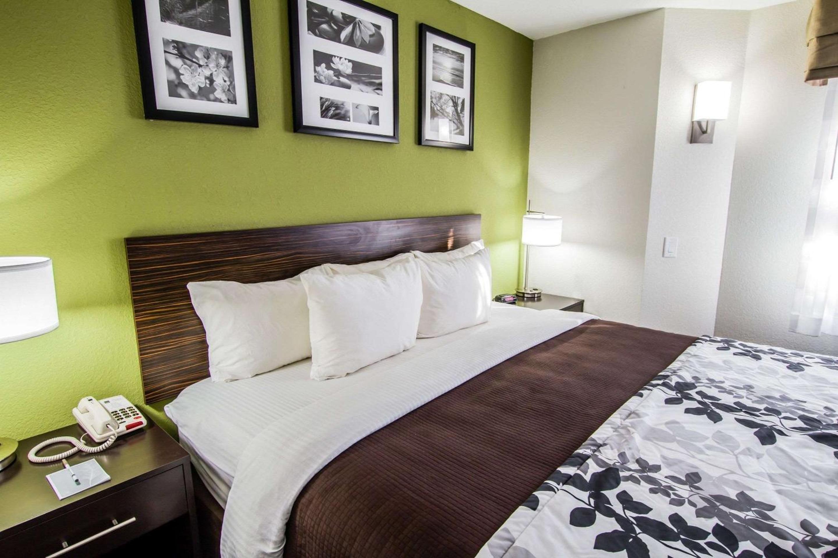King Room - Non-Smoking - Photo 1