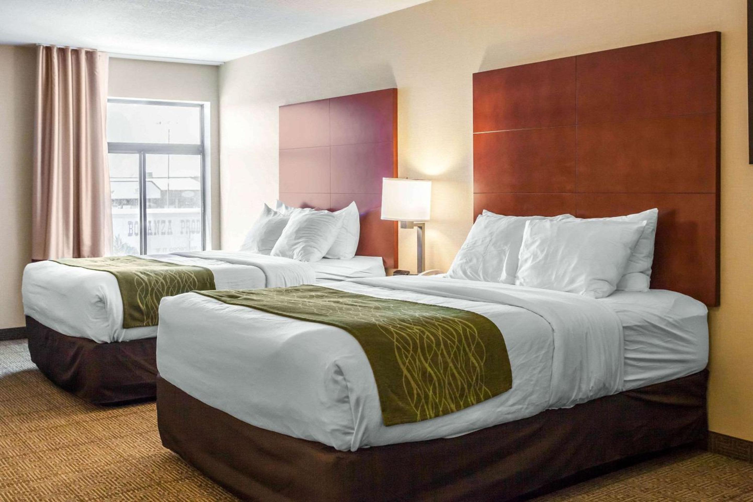 Queen Room with Two Queen Beds -  Pet Friendly Non-Smoking - Photo 1