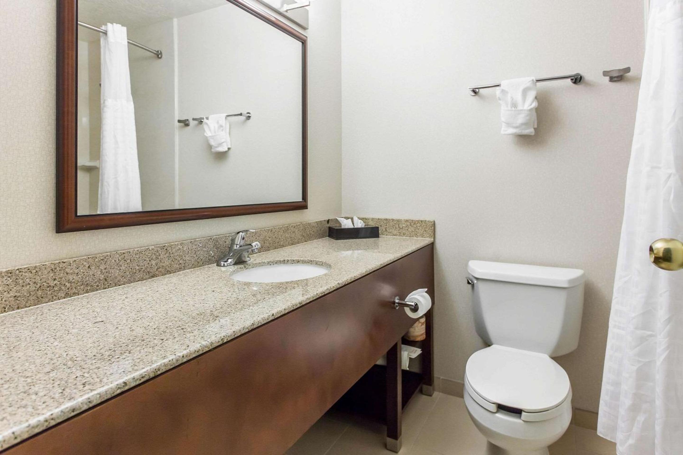 Queen Room with Two Queen Beds -  Pet Friendly Non-Smoking - Photo 4