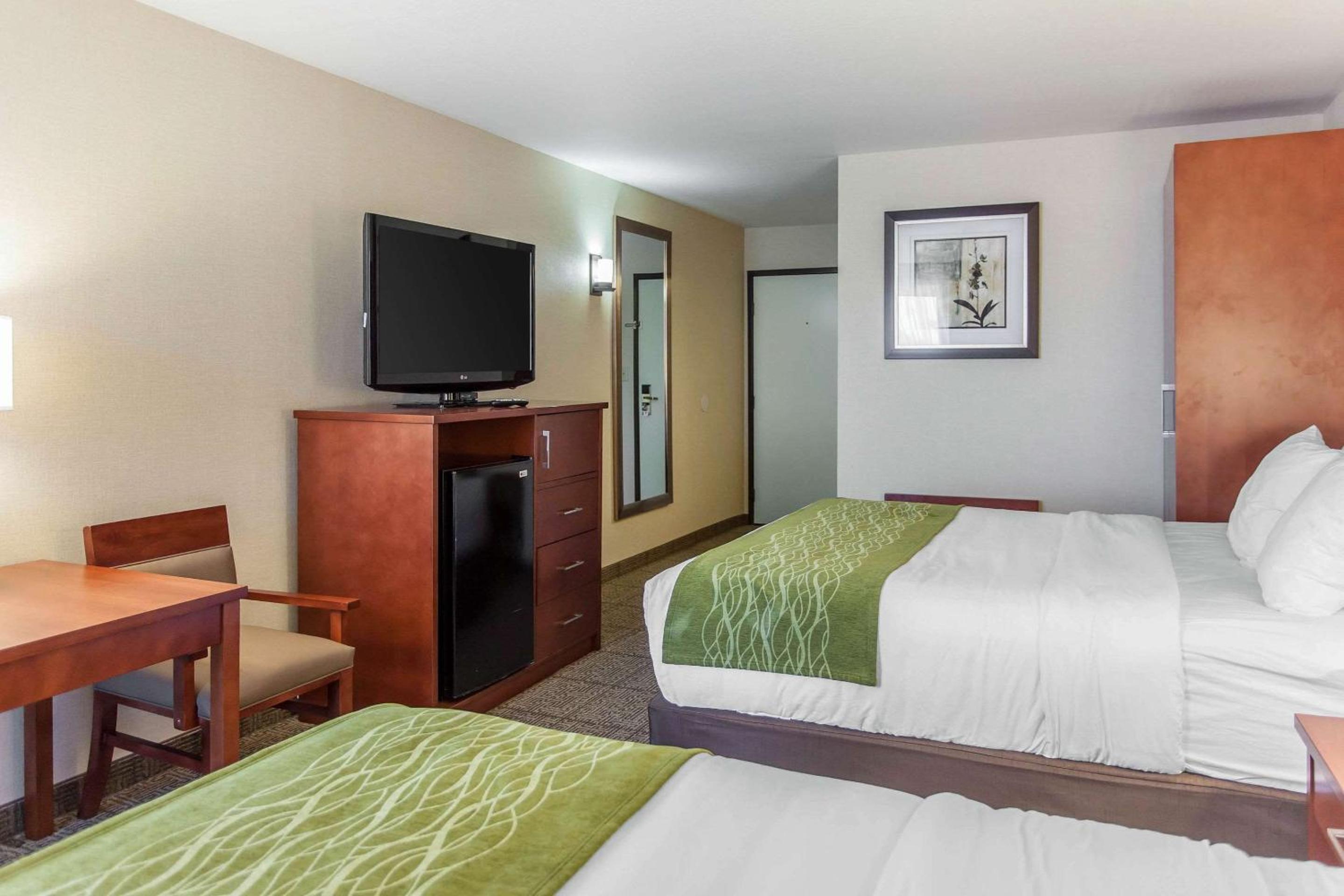 Queen Room with Two Queen Beds -  Pet Friendly Non-Smoking - Photo 3