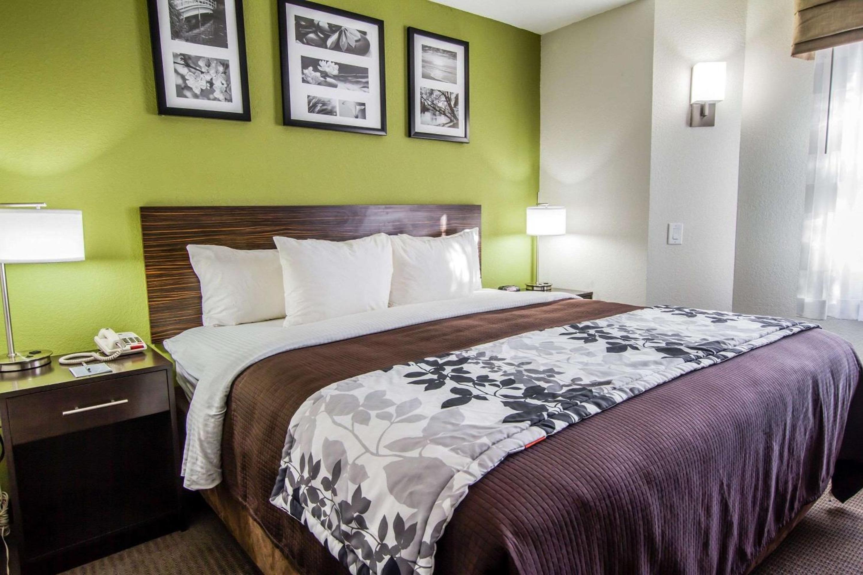 King Room - Non-Smoking - Photo 3