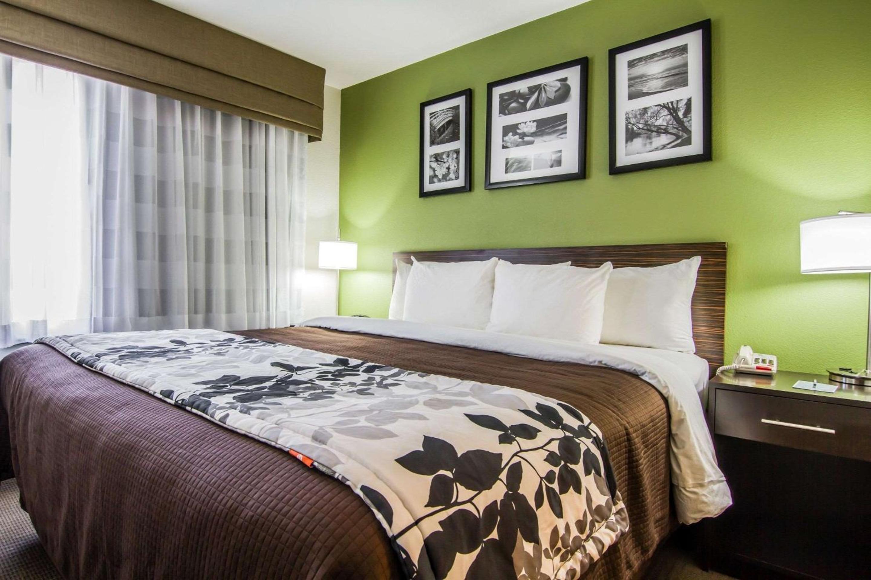 King Room with Roll-In Shower - Accessible/Non-Smoking - Photo 1