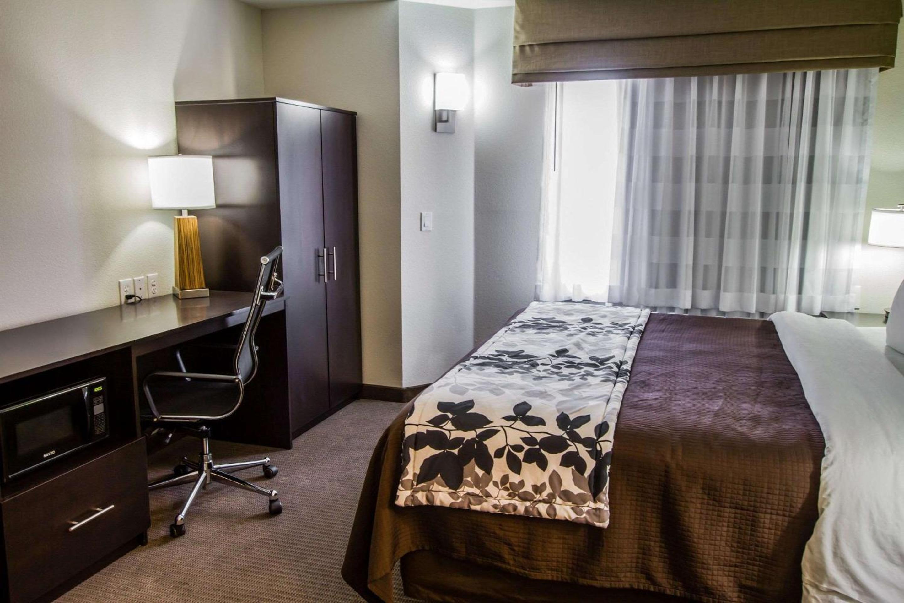 King Room with Roll-In Shower - Accessible/Non-Smoking - Photo 2
