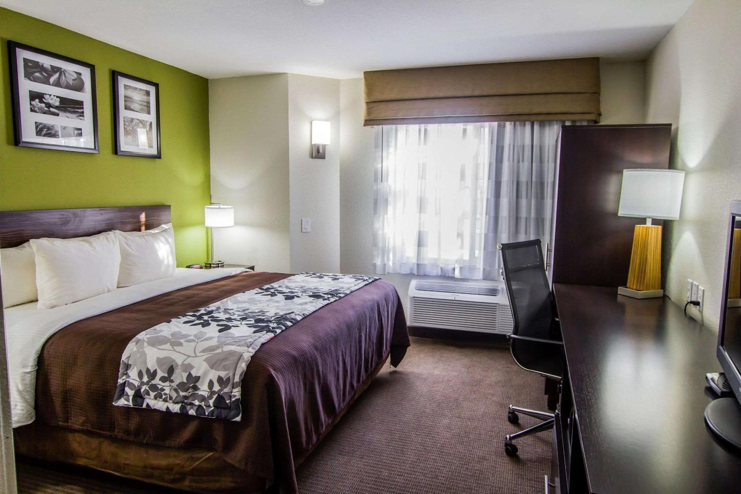 King Room - Non-Smoking - Photo 4