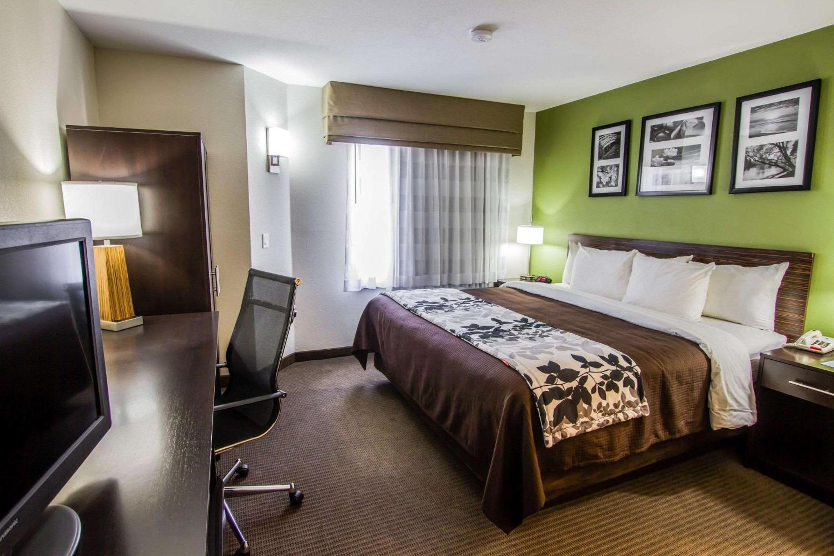 King Room with Roll-In Shower - Accessible/Non-Smoking - Photo 3