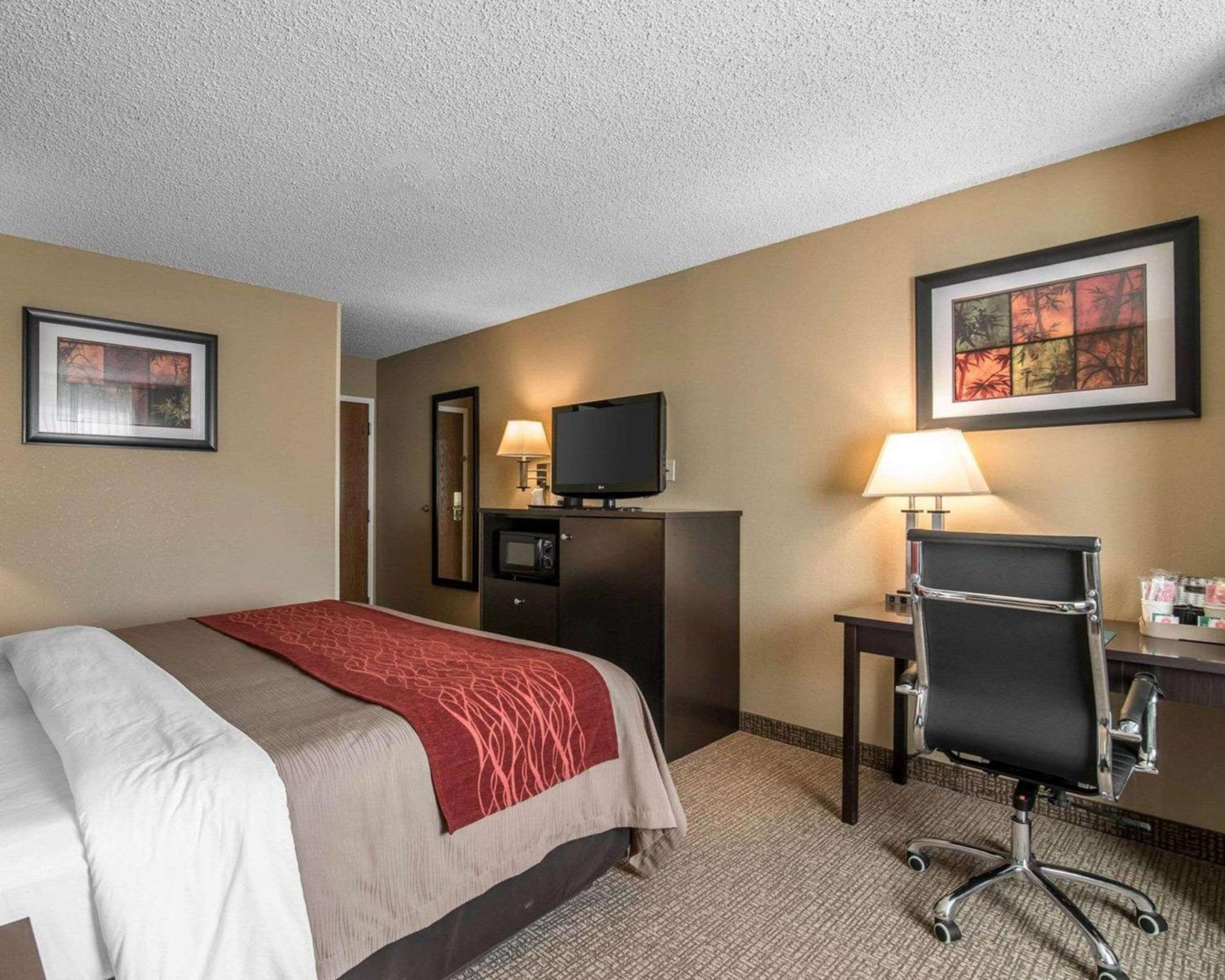 King Room - Non-Smoking - Photo 5
