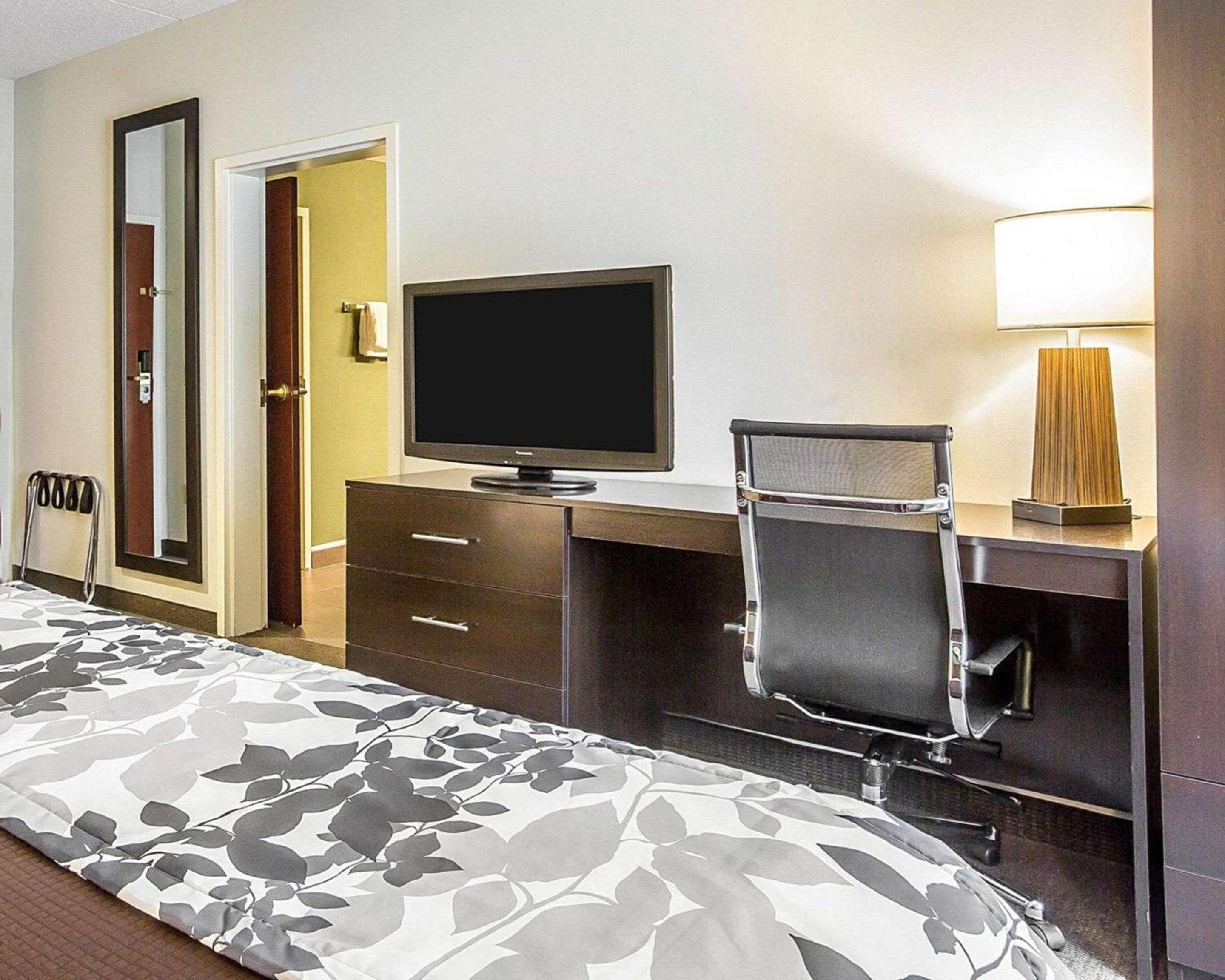 King Suite with Whirlpool and Sofa Bed - Non-Smoking - Photo 7