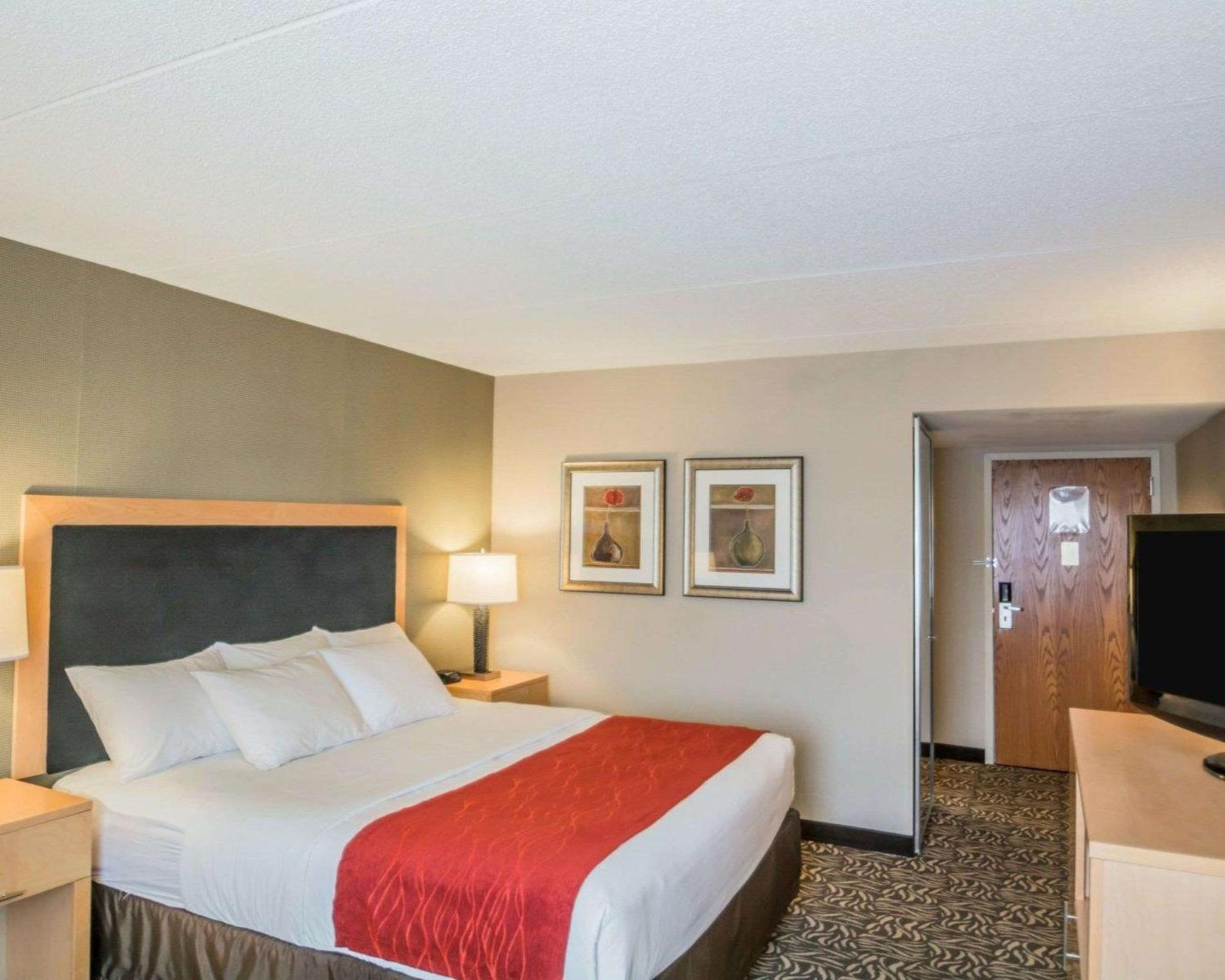 King Room - Non-Smoking - Photo 4